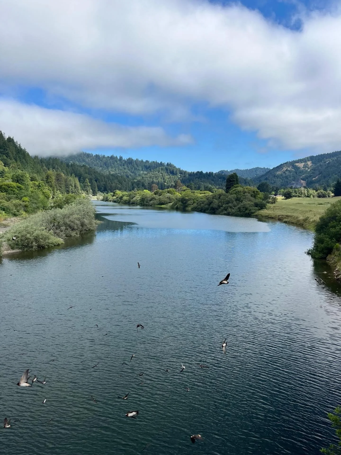Wishing everyone an easeful unfolding into the holiday weekend. 

Nothing is softer or more flexible than water, yet nothing can resist it &mdash; Lao Tzu

Modified schedule for Memorial Day Monday! Check MINDBODY or the website for current schedule 