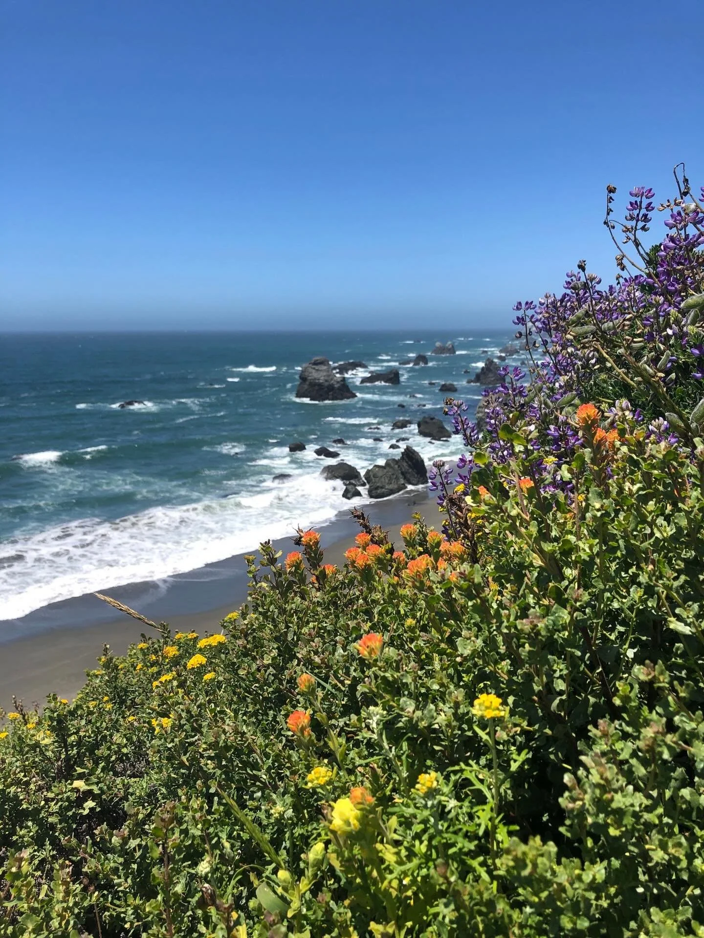 Sunny days on the coast🌞  #radiateyoga #sebastopolyoga #sebastopol #bodegabay #sonomacoast