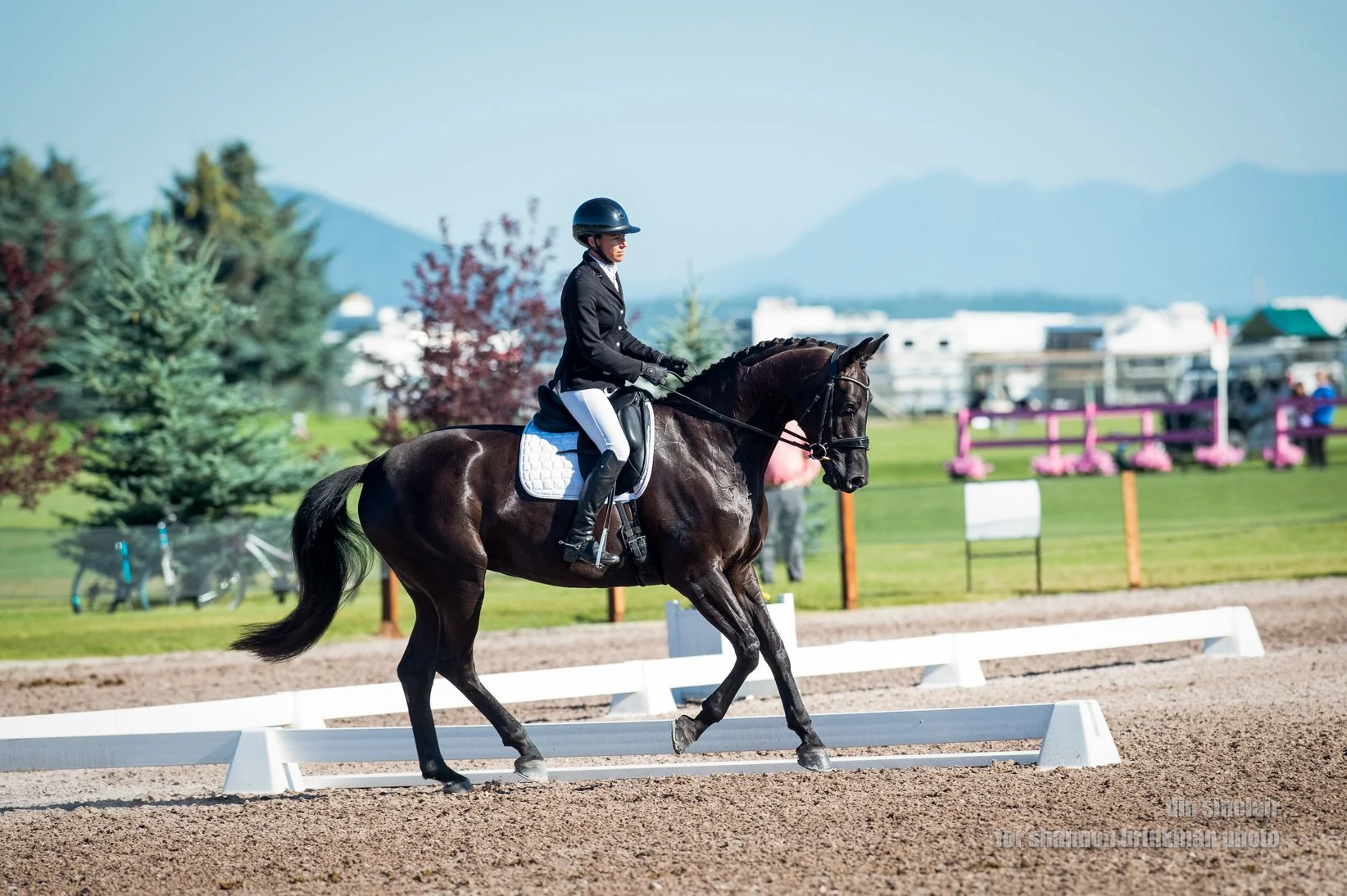 Black Diamond Equestrian