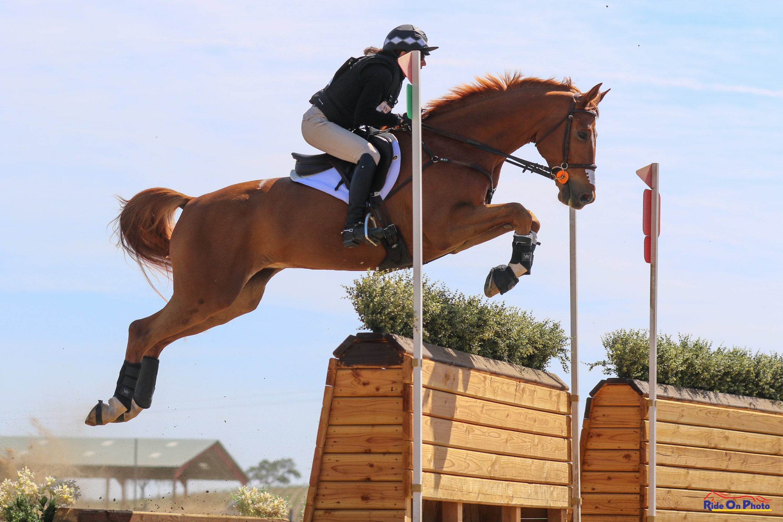 Black Diamond Equestrian