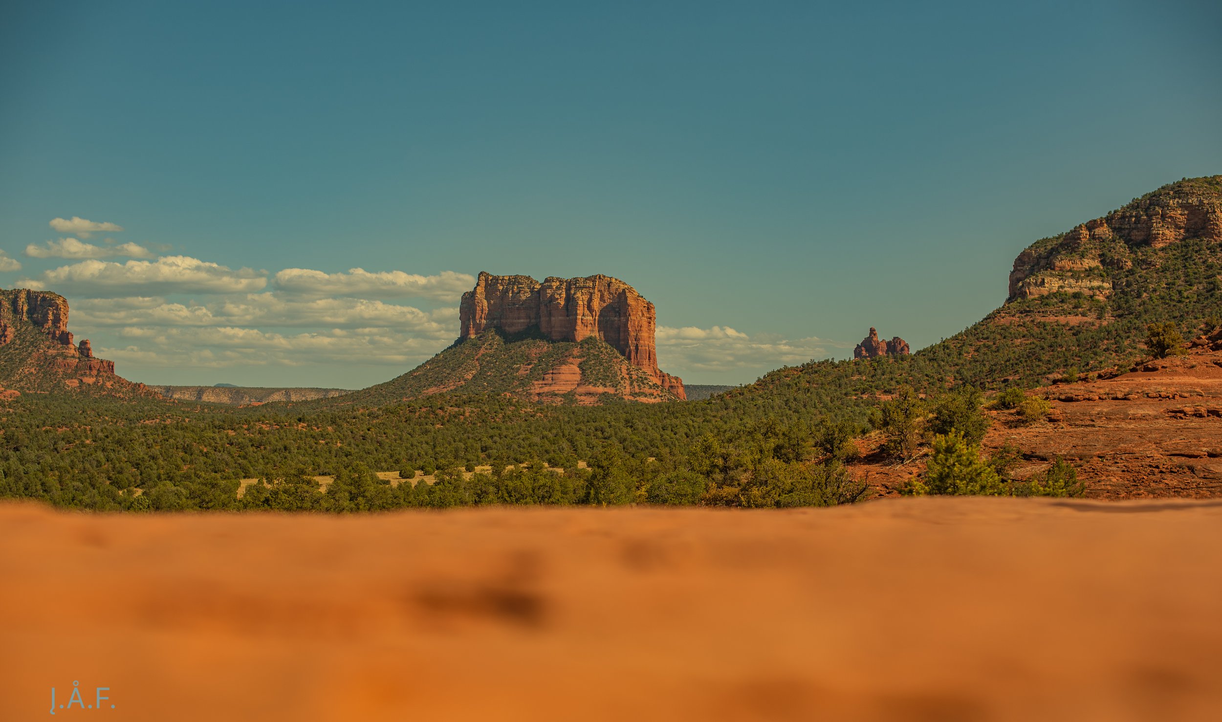 DSC_5266.jpg