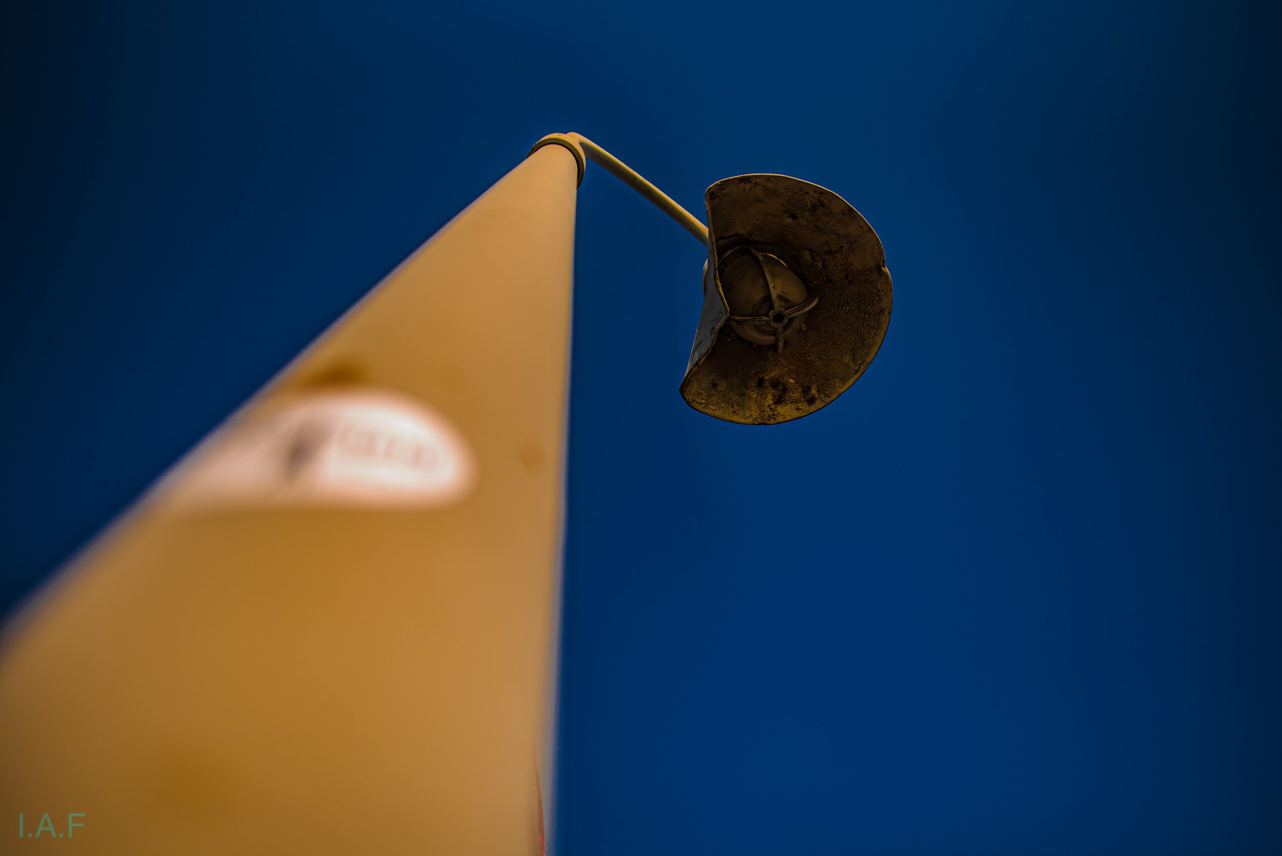 DSC_6540.jpg