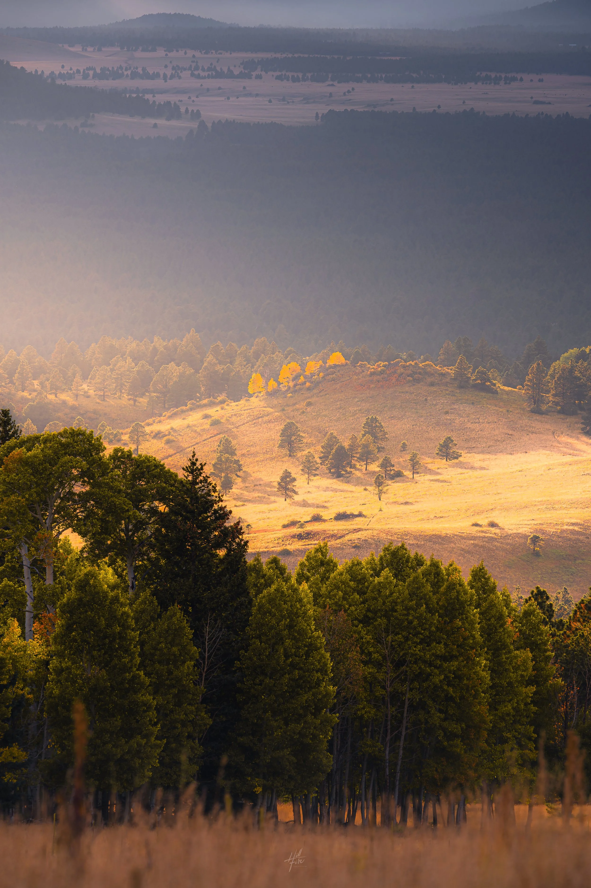 Autumn Light On The Hill