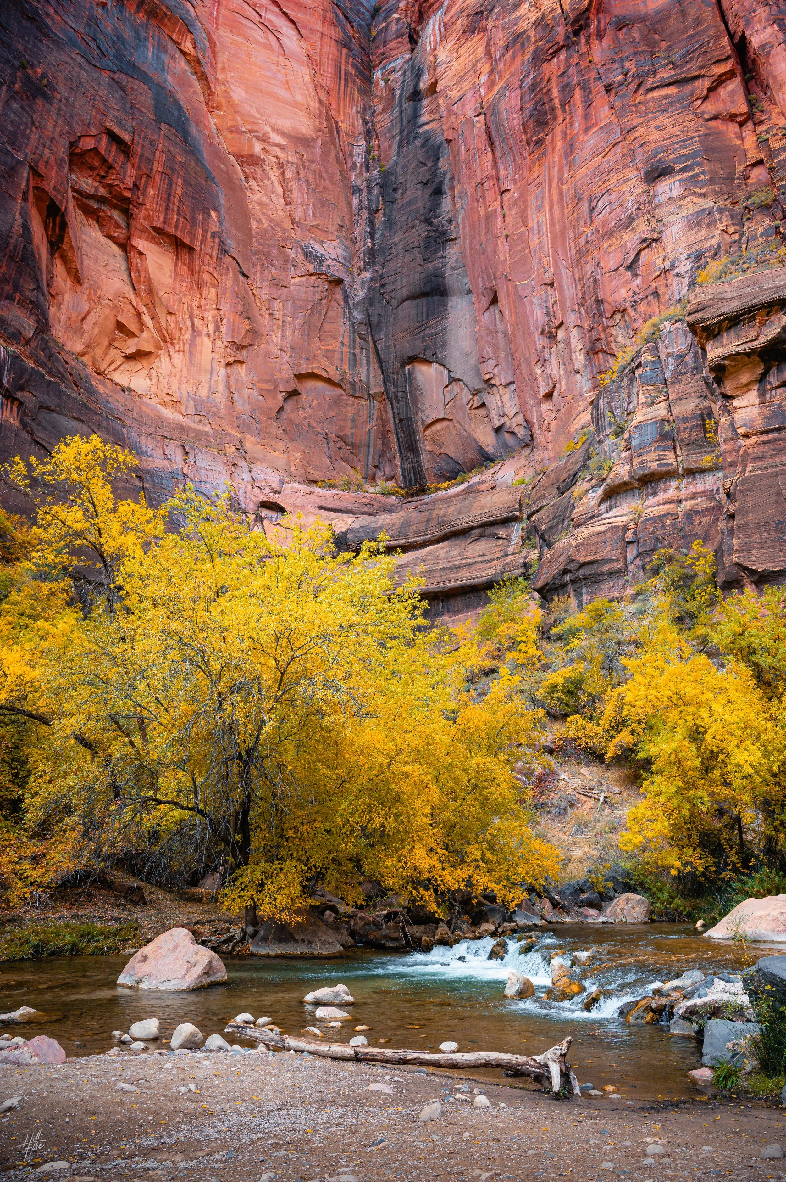 Zion Autumn Canyon