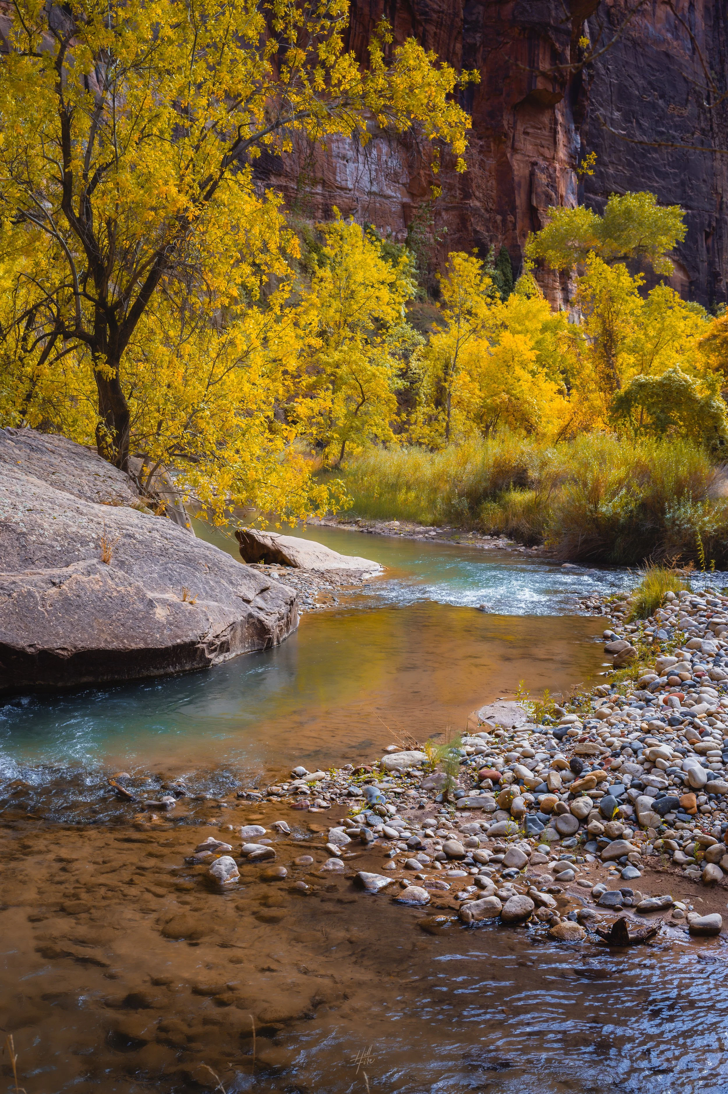 The Water of Zion