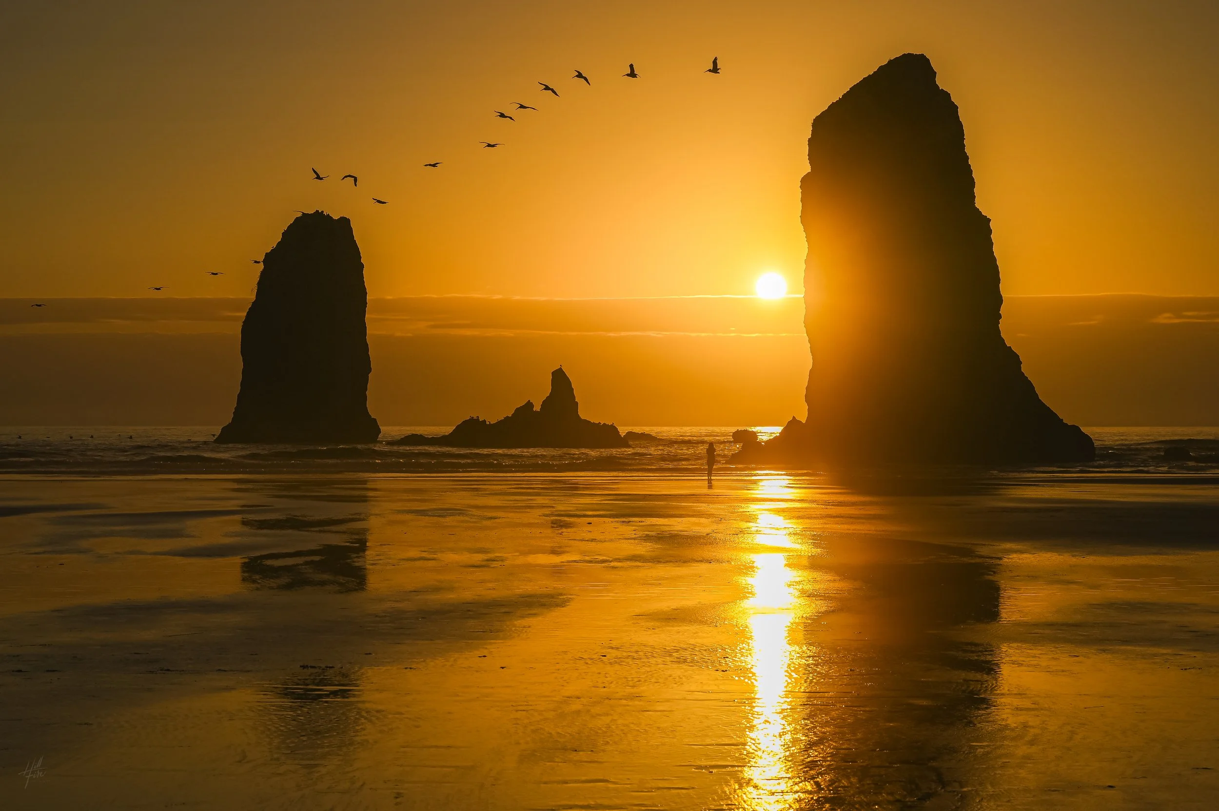 Golden Needles