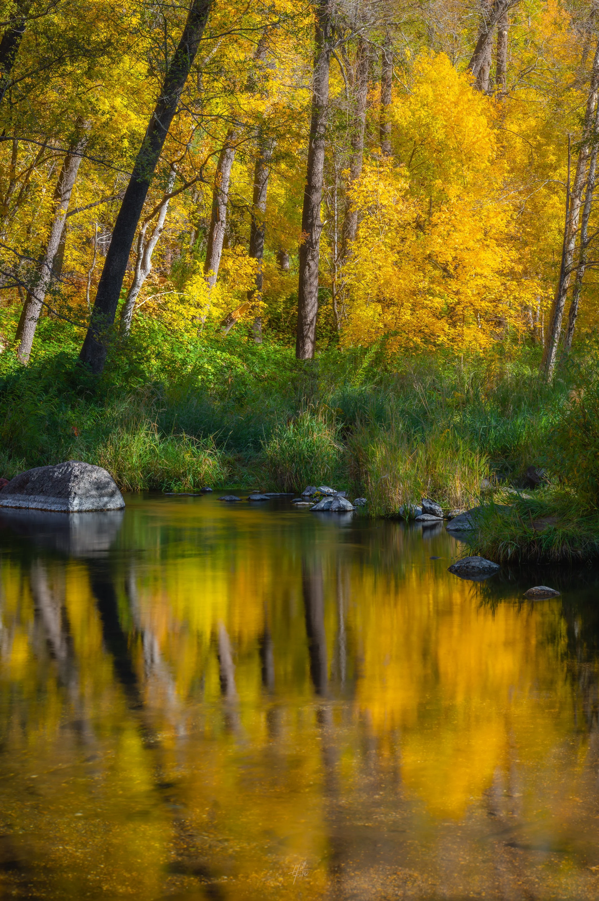 Oak Creek Autumn Reflection