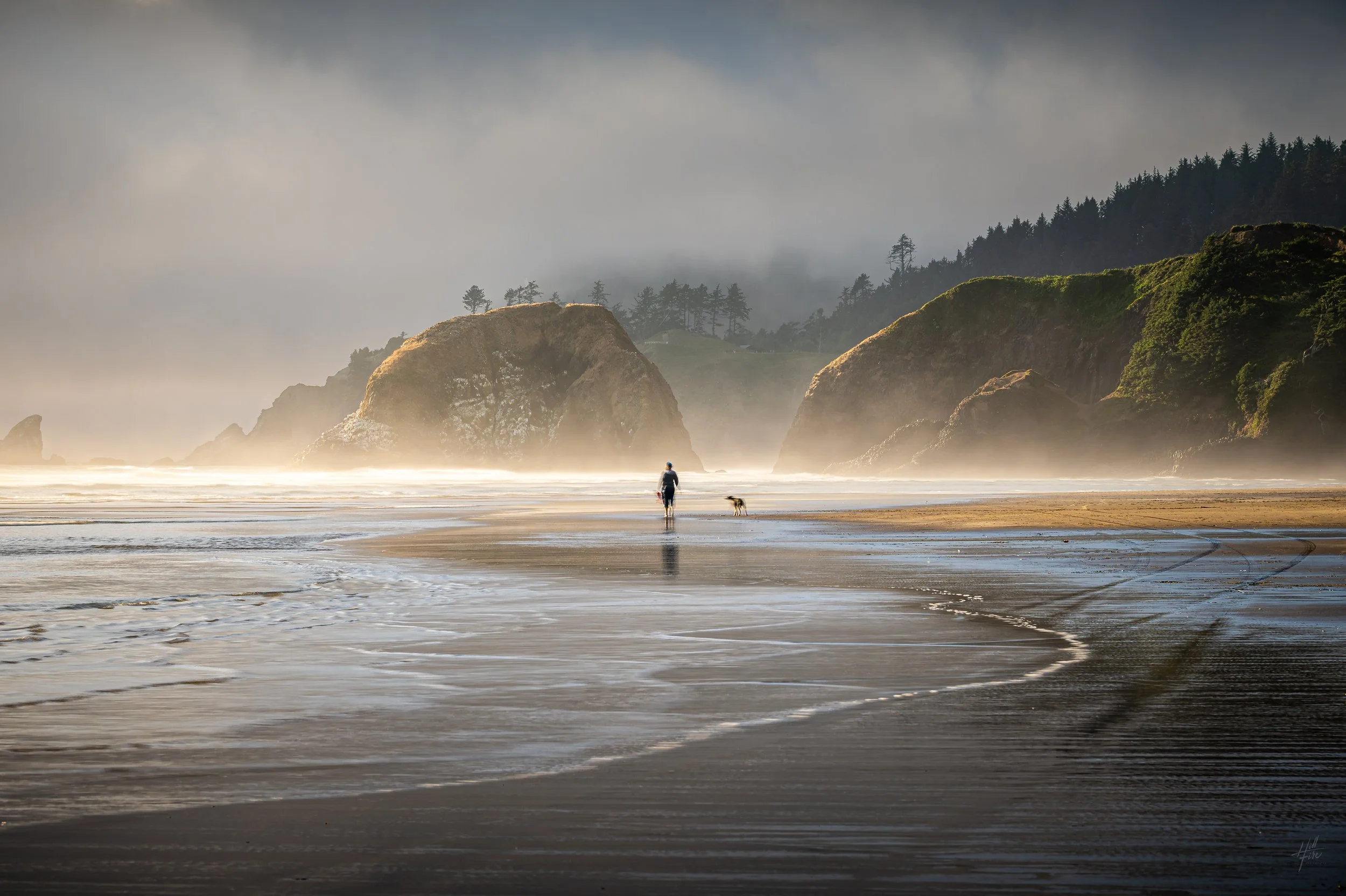Walking with Man's Best Friend