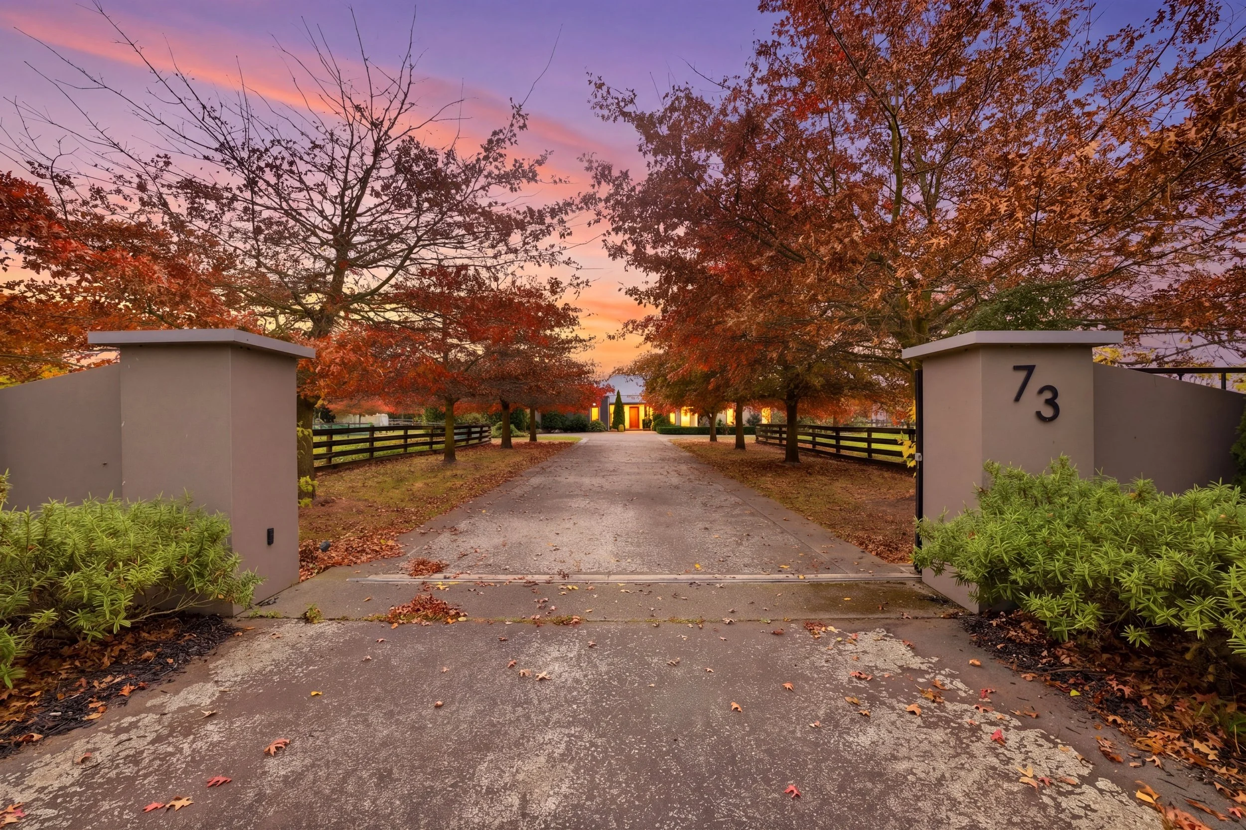 058A0283_twilight_3c4cc786_cf5a745f.jpg