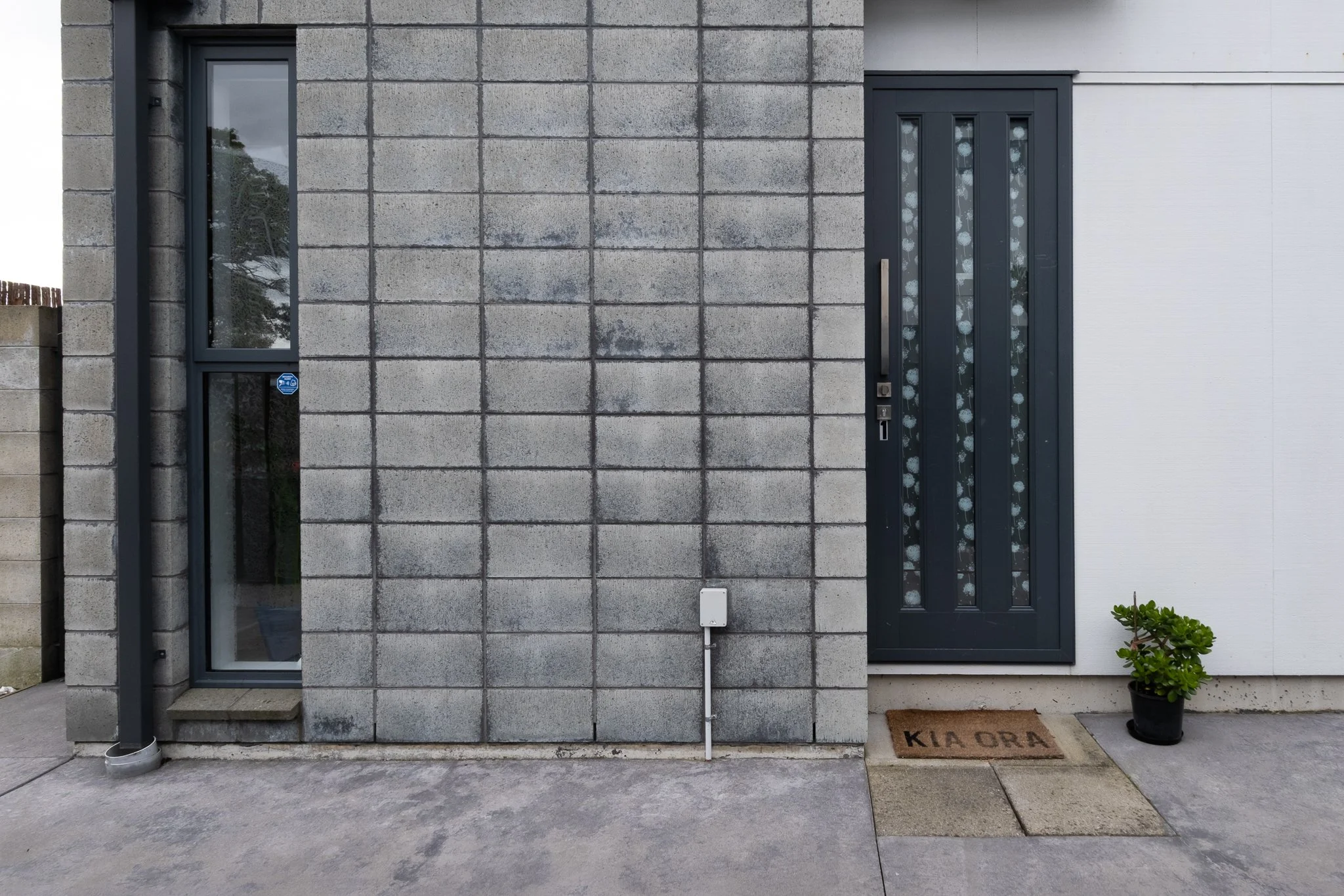 6_1-274_Fitzgerald_Ave_web.jpg