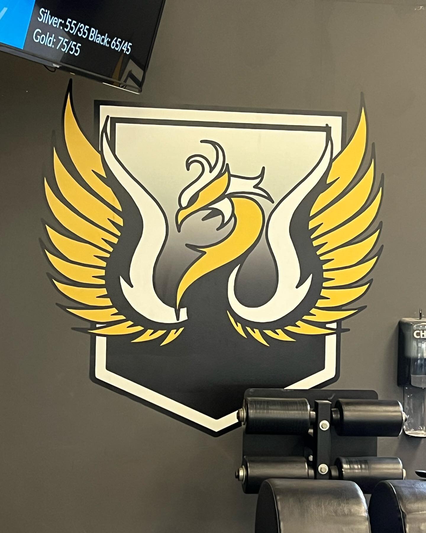 Stopped by @goldenphoenixcf this morning to replace the pull cords on a Concept2 SkiErg and give it a full service. Back to feeling better than new. #concept2 #skierg #crossfit
