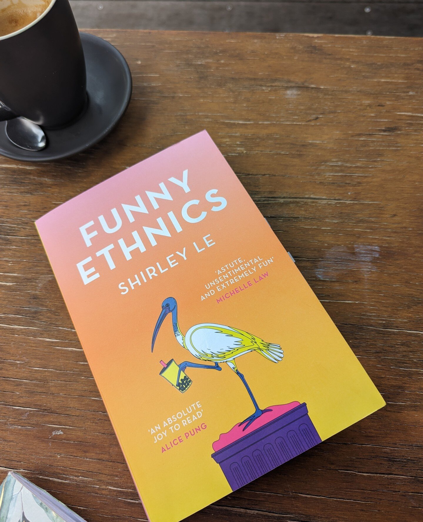 'Funny Ethnics' by Shirley Le, and 'Another Australia' edited by Winnie Dunn (@sweatshop.ws) published by Affirm Press @affirmpress ⁠
⁠
The Ibis is a much maligned bird that I hold a lot of affection for (despite coming from a high school where IBIS 