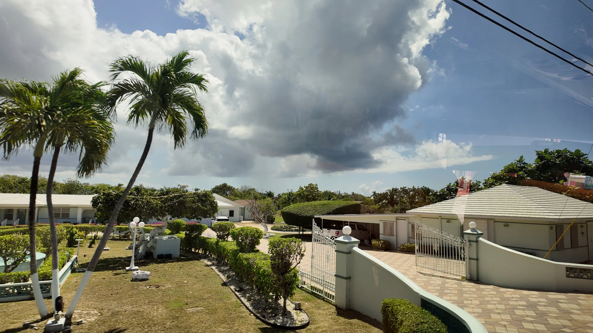 DJI_20250311102216_0116_D.JPG