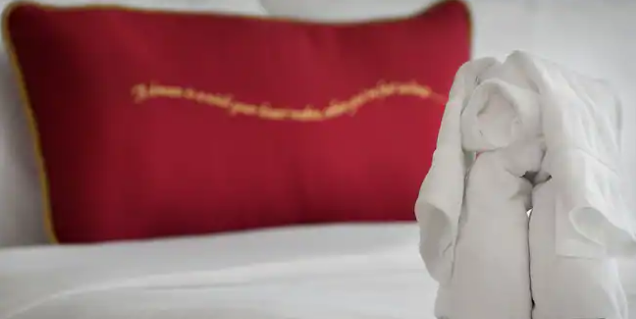 Deluxe Family Oceanview Staterom Category 8A 6.PNG