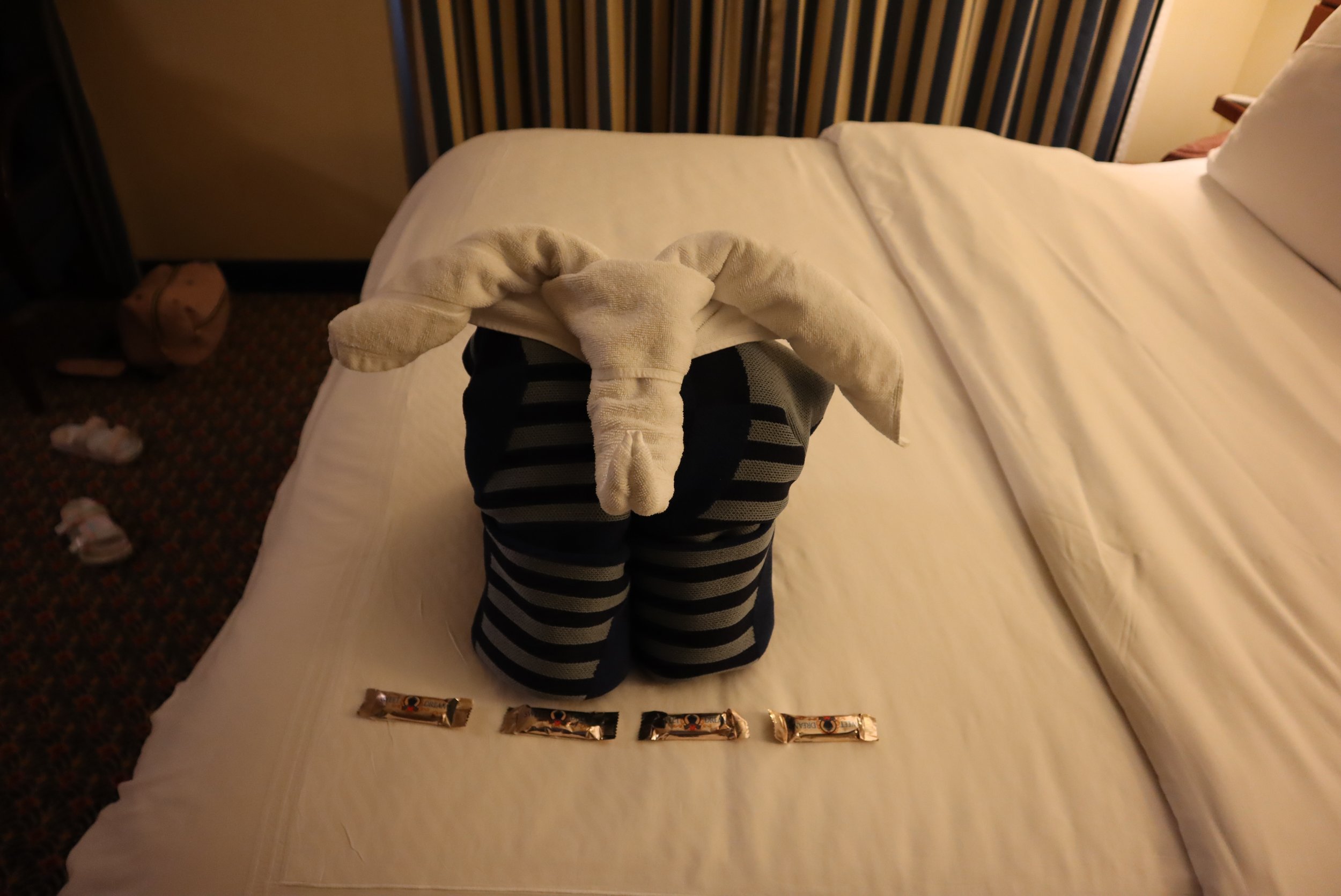 IMG_3576.JPG