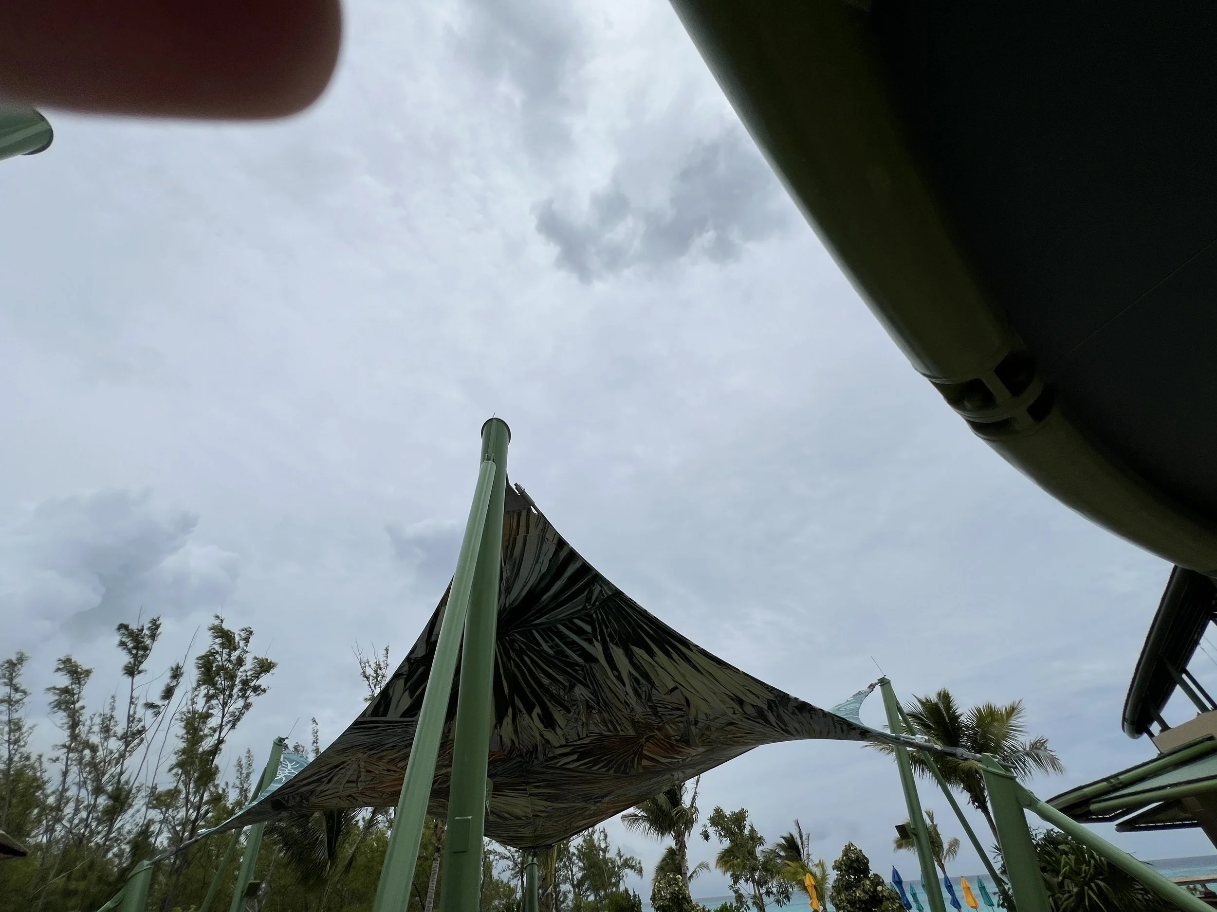 IMG_4318.JPG