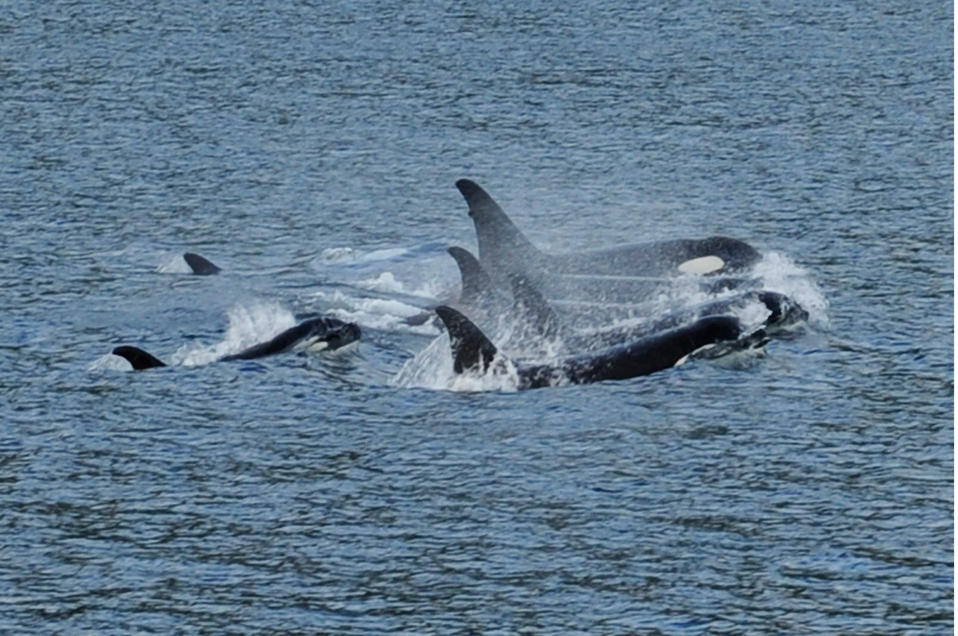 DCL_Alaska-Environment-Impact.jpg