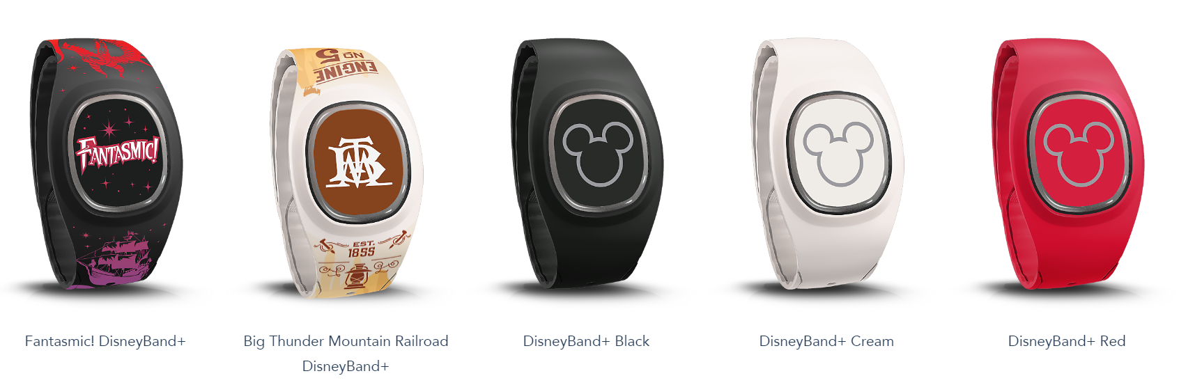Disney Band Plus 6.9.24. 3.PNG