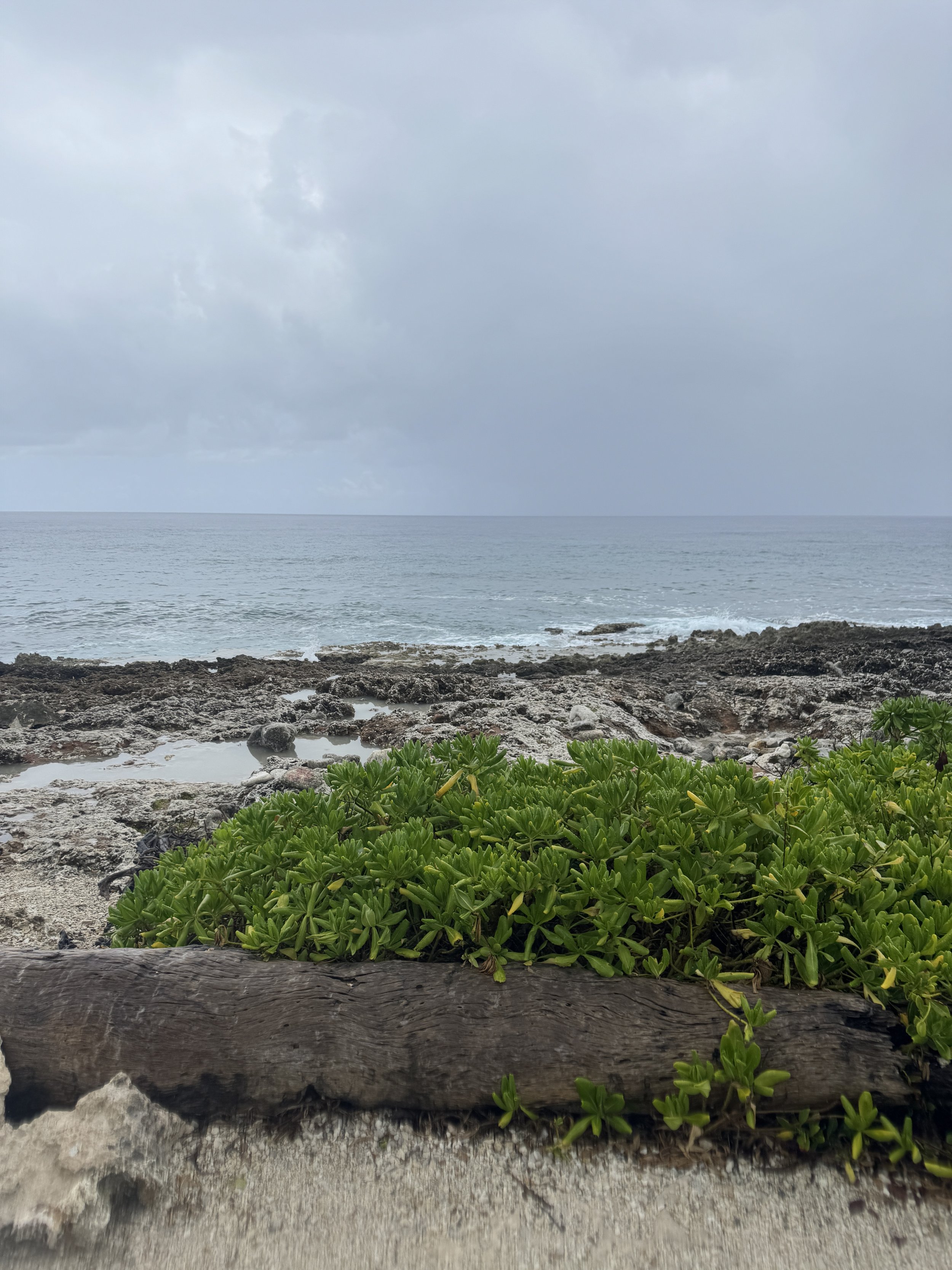 37B0F880-891E-461E-8B7E-0D7D562444A7.jpeg