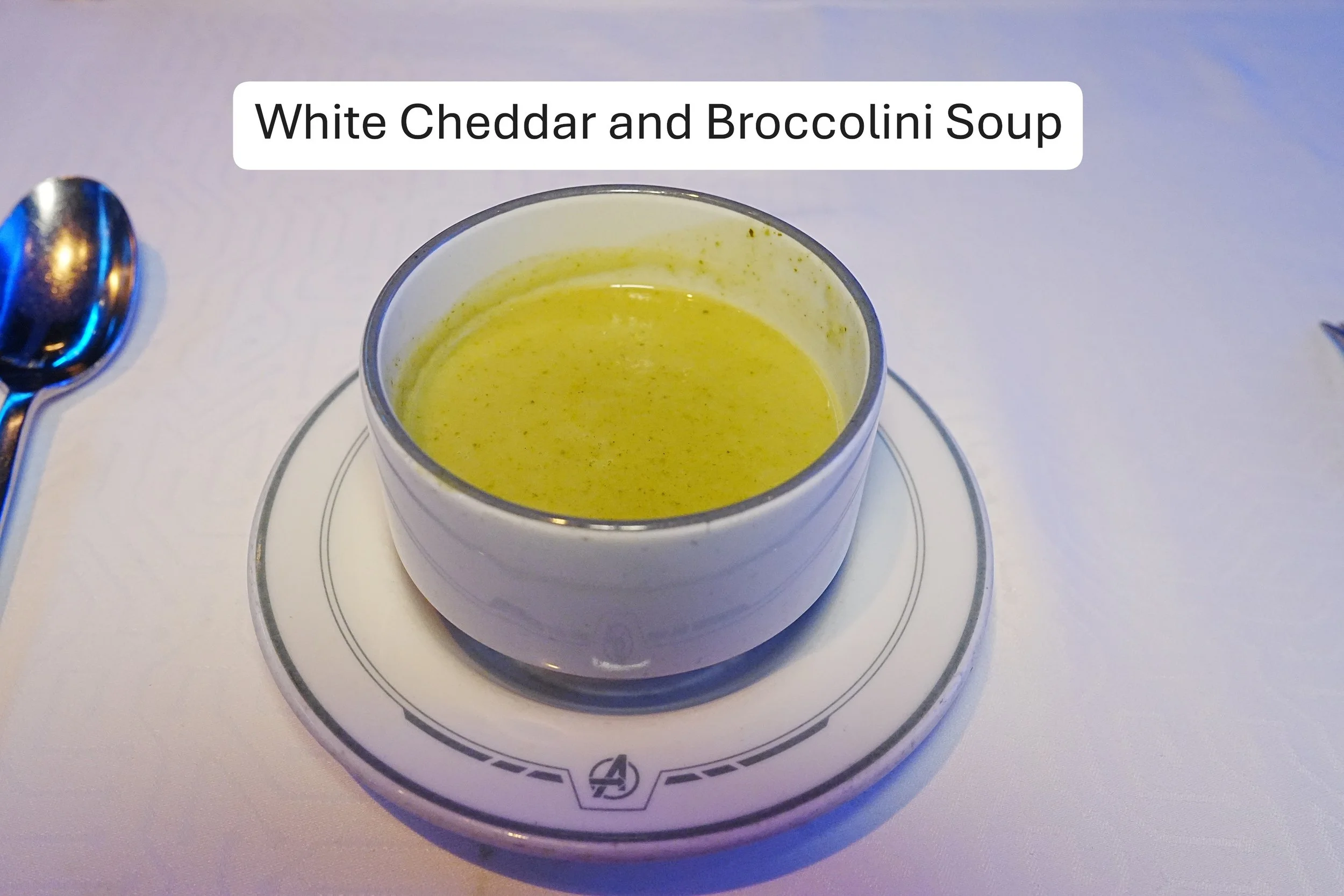 2026-02-13-Wish-WOM-White-Cheddar-and-Broccolini-Soup-1.JPG