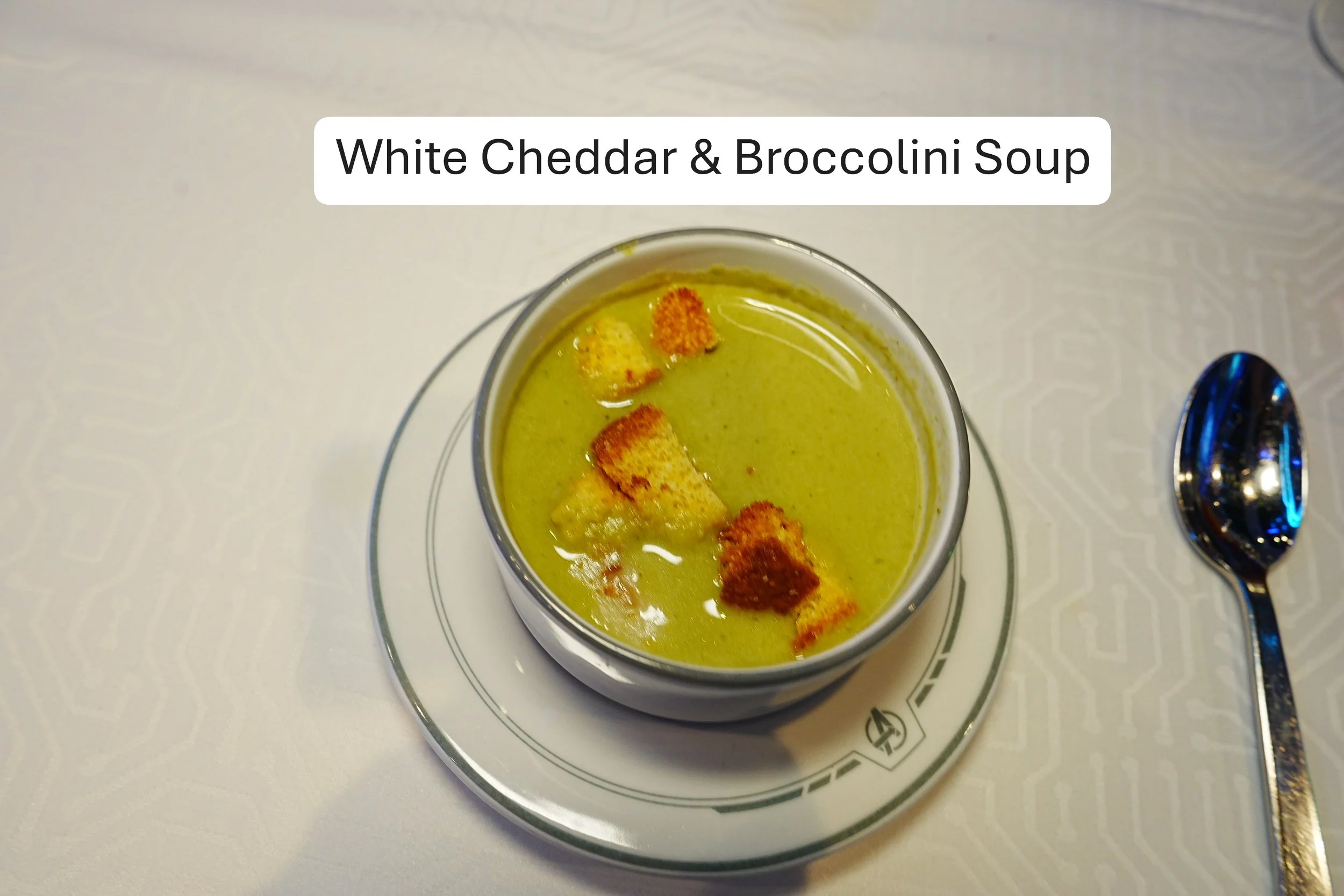 2026-08-28-Destiny-WOM-White-Cheddar-and-Broccolini-Soup-2.JPG