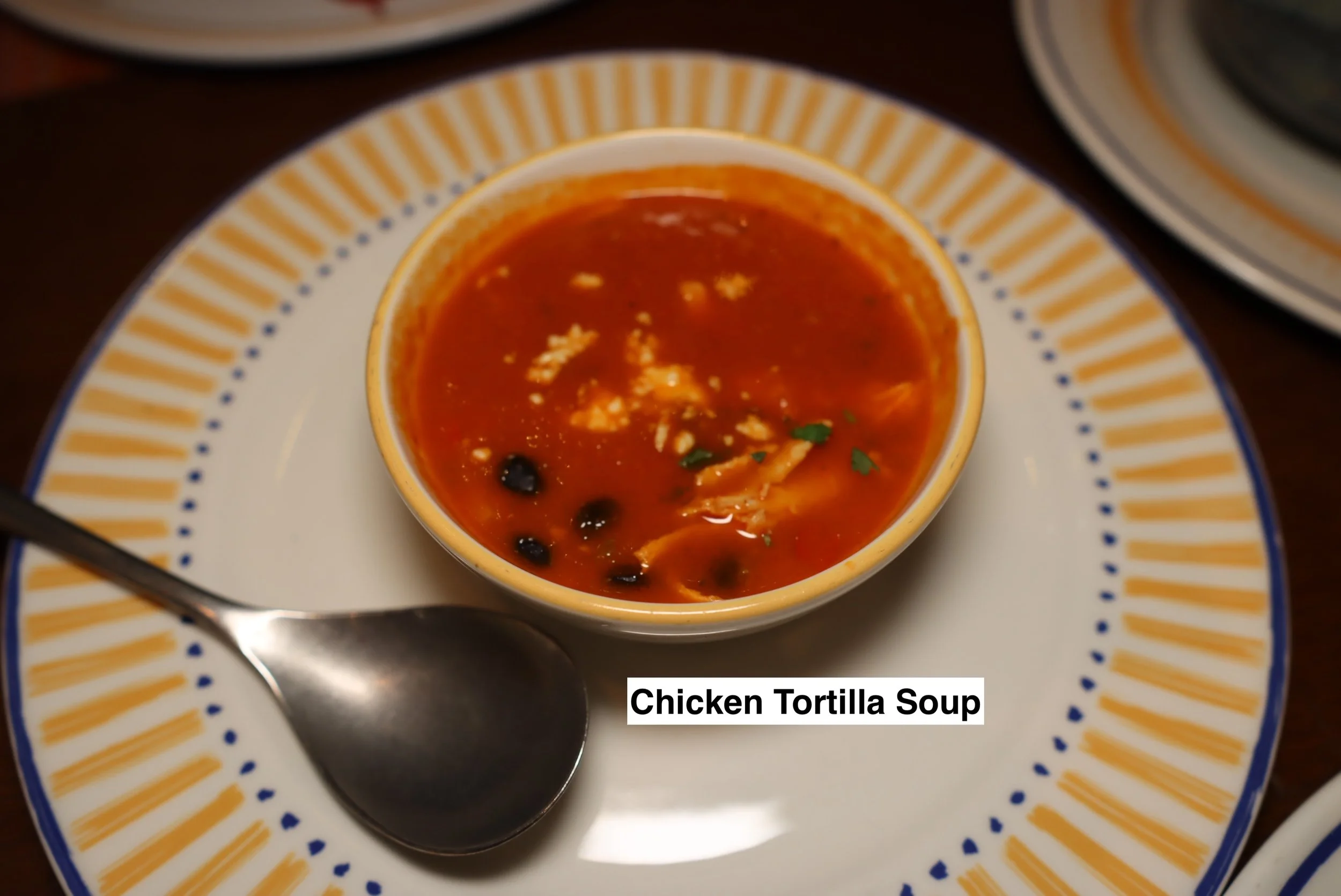 2025-03-08-Treasure-PDC-Chicken-Tortilla-Soup-1.JPG