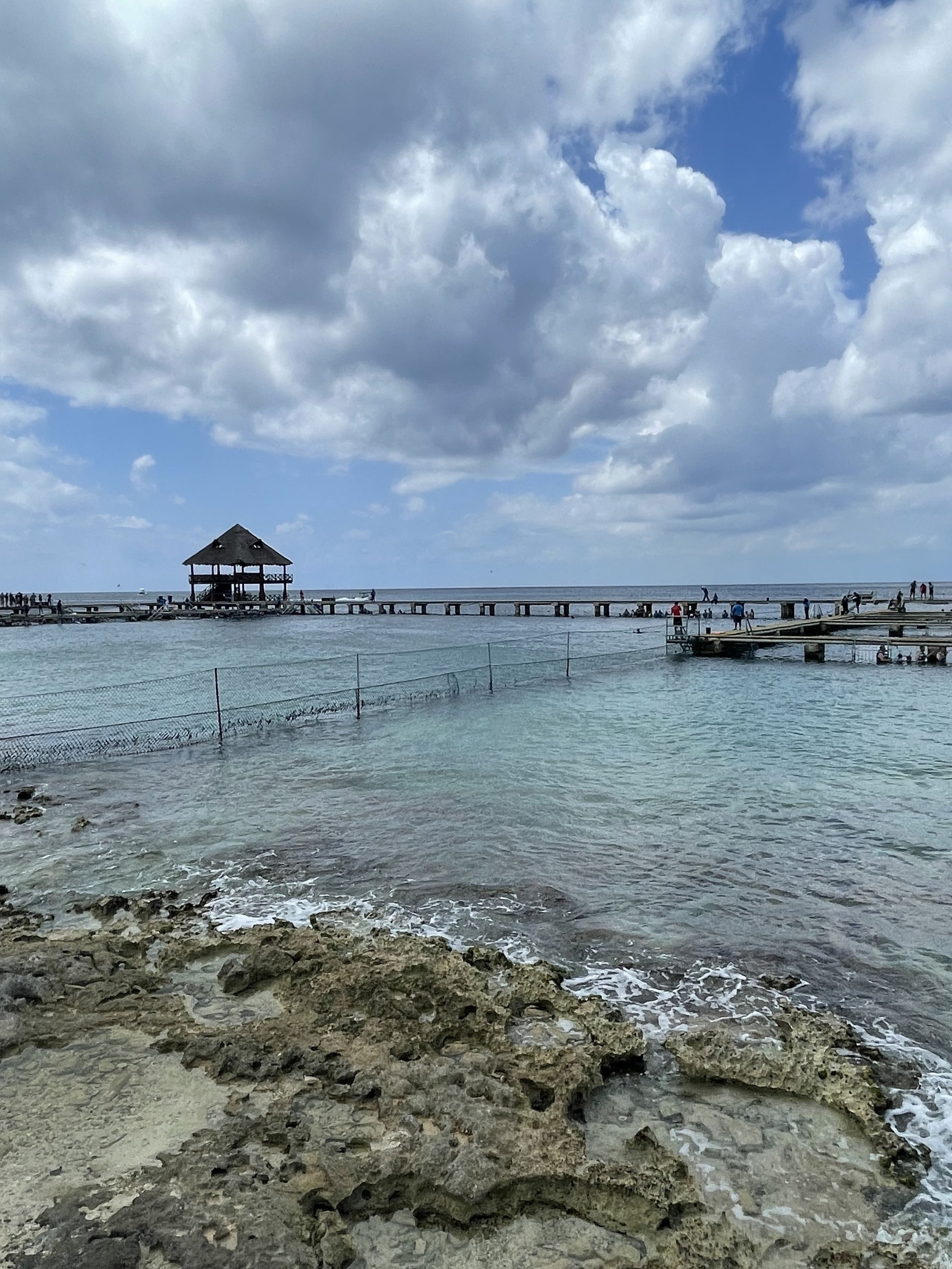 IMG_7227.jpeg