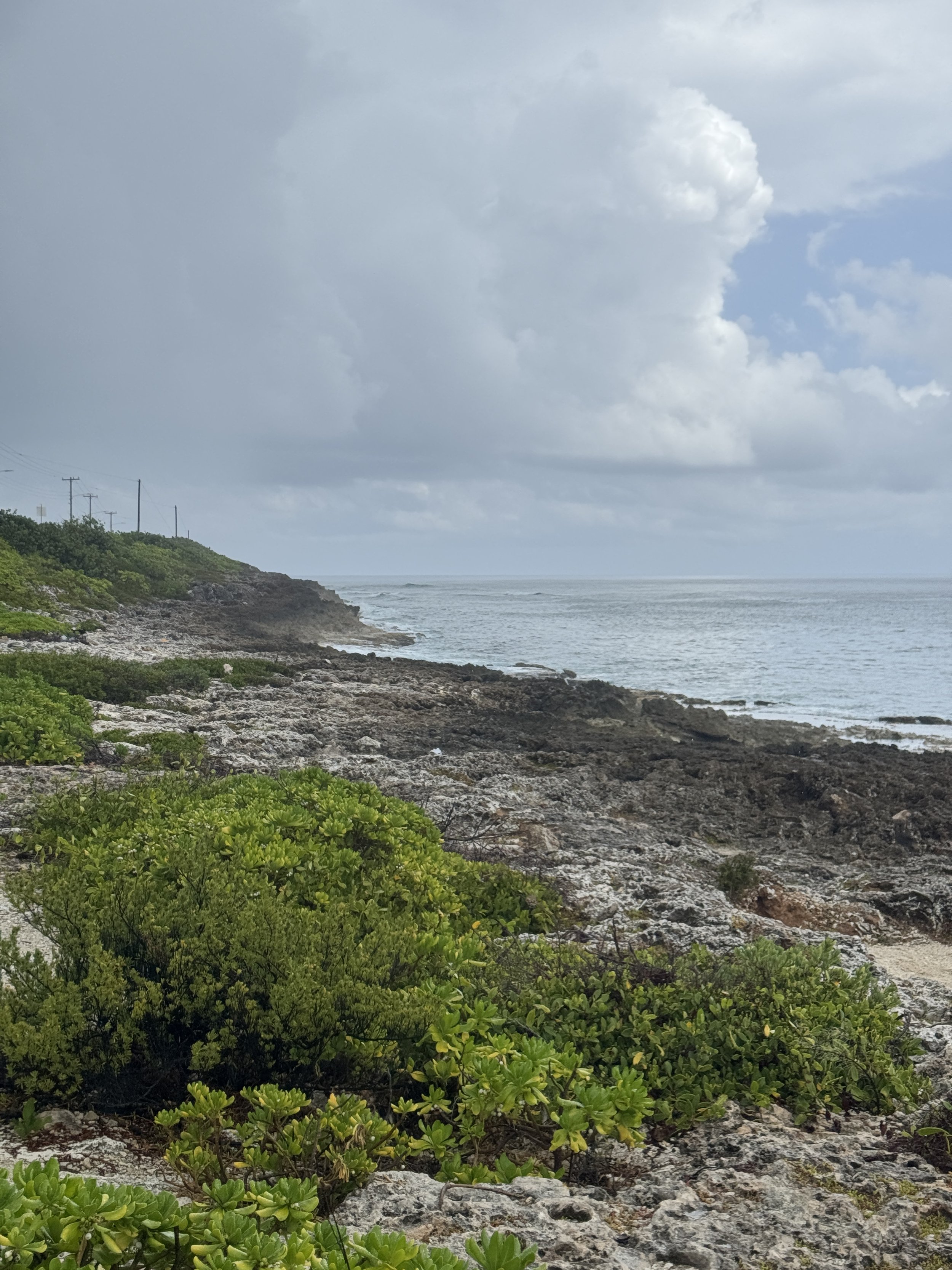D11C8860-153A-46CA-816E-258FF1463462.jpeg