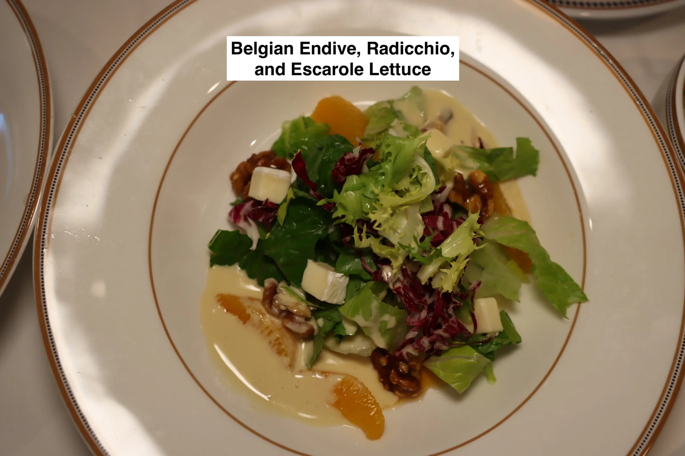 2025-03-08-Treasure-1923-Captains-Gala-Belgian-Endive-Radicchio-and-Escarole-Lettuce.JPG