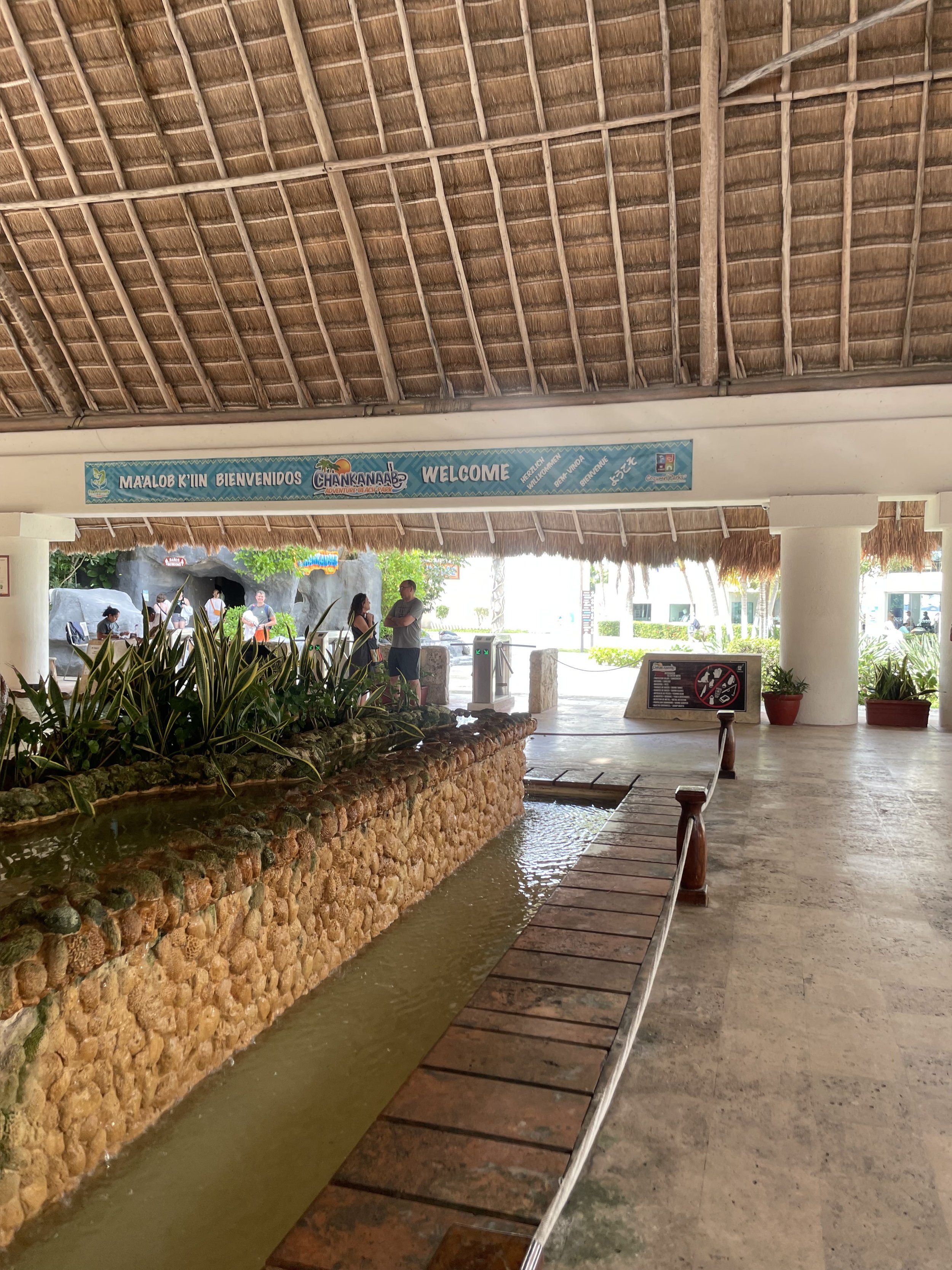 IMG_7200.jpeg