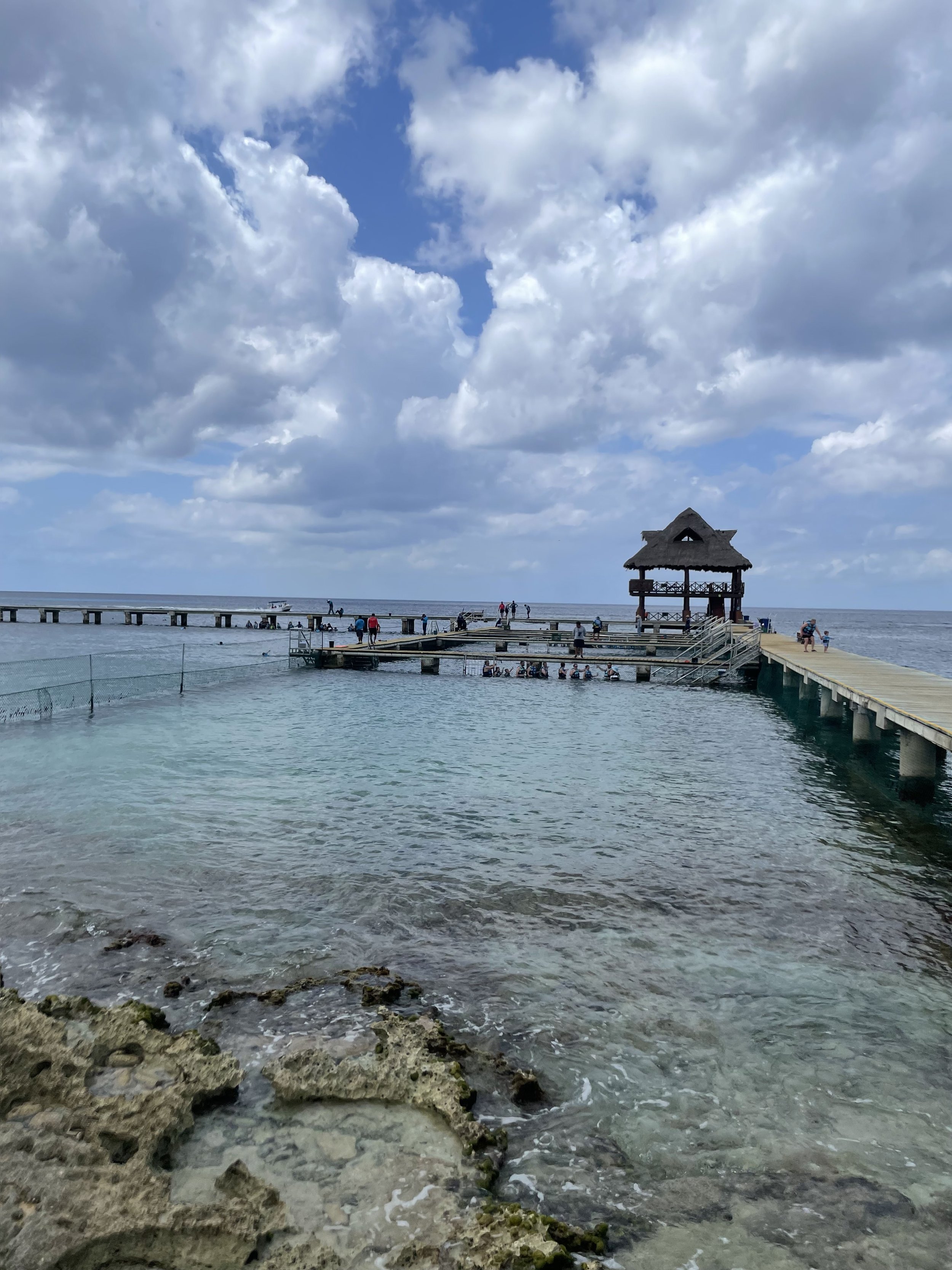 IMG_7232.jpeg
