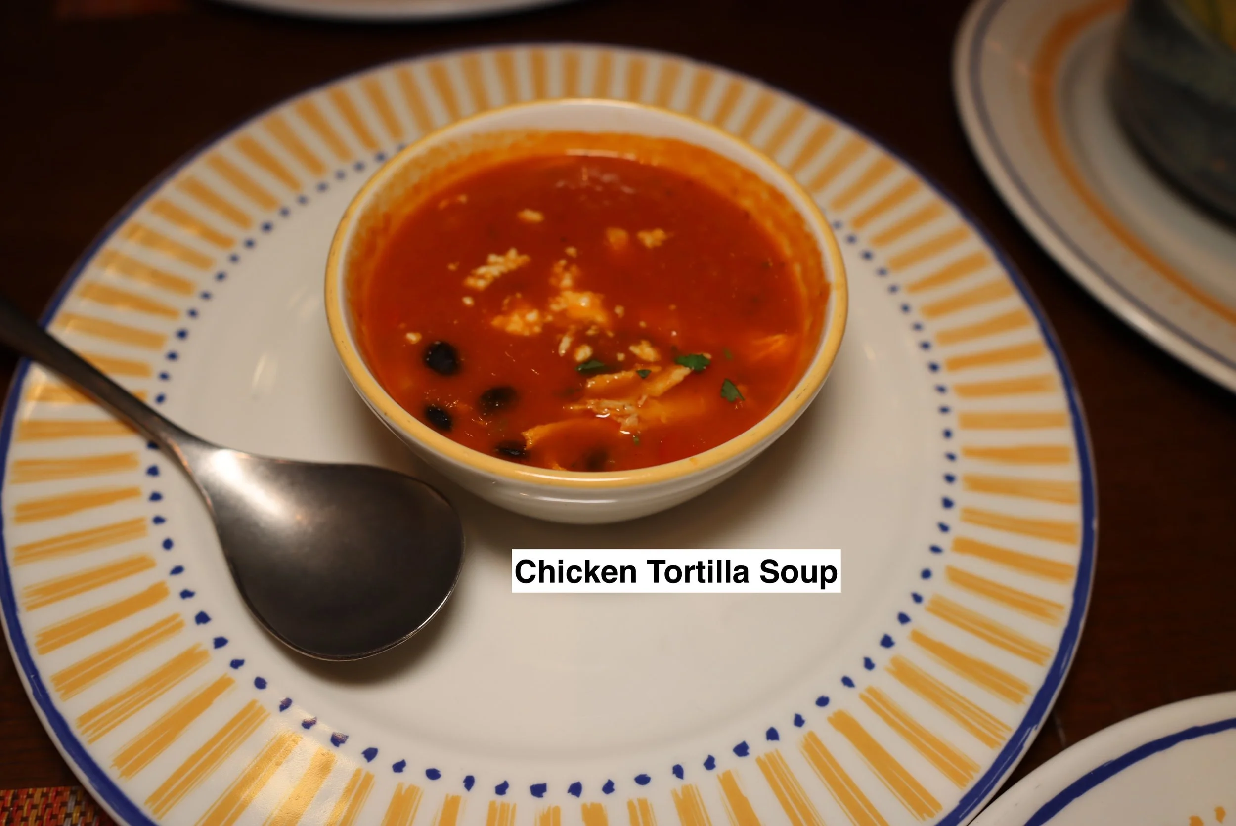 2025-03-08-Treasure-PDC-Chicken-Tortilla-Soup.JPG