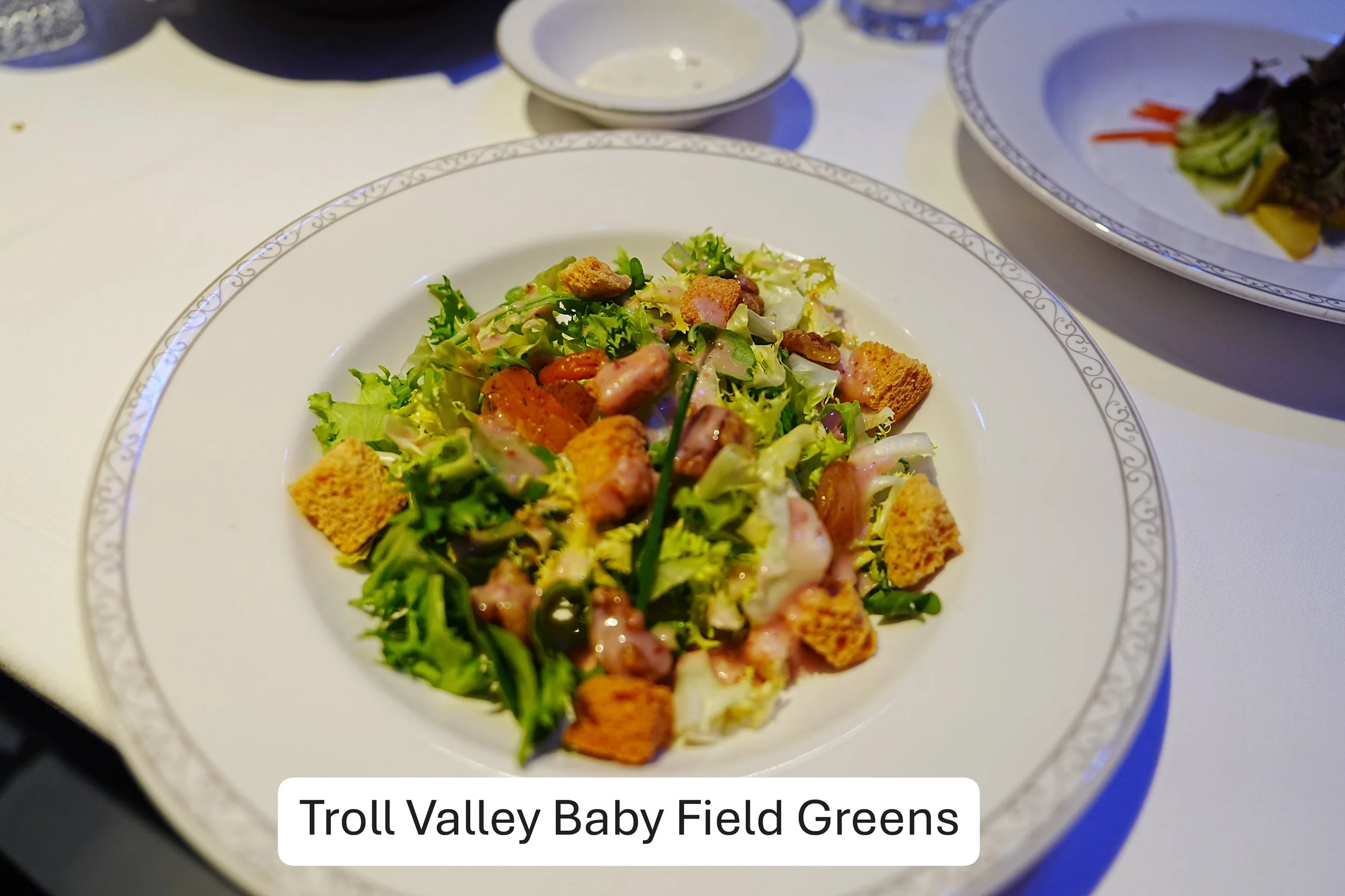 2026-02-13-Wish-Arendelle-Troll-Valley-Baby-Field-Greens-2.JPG