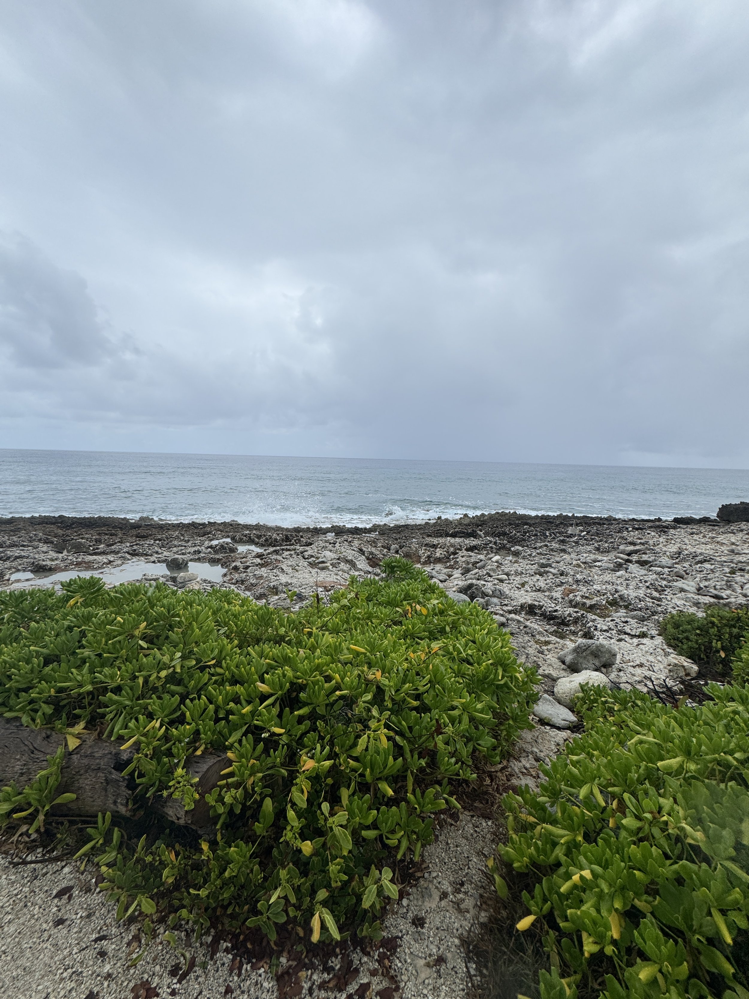 E74728CF-4314-4AEE-A124-A9B9F6DB6BE4.jpeg