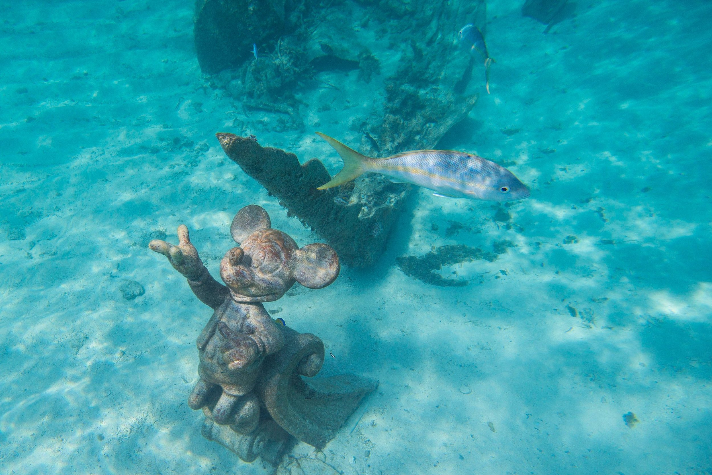 Castaway Cay snorkeling lagoon.jpg