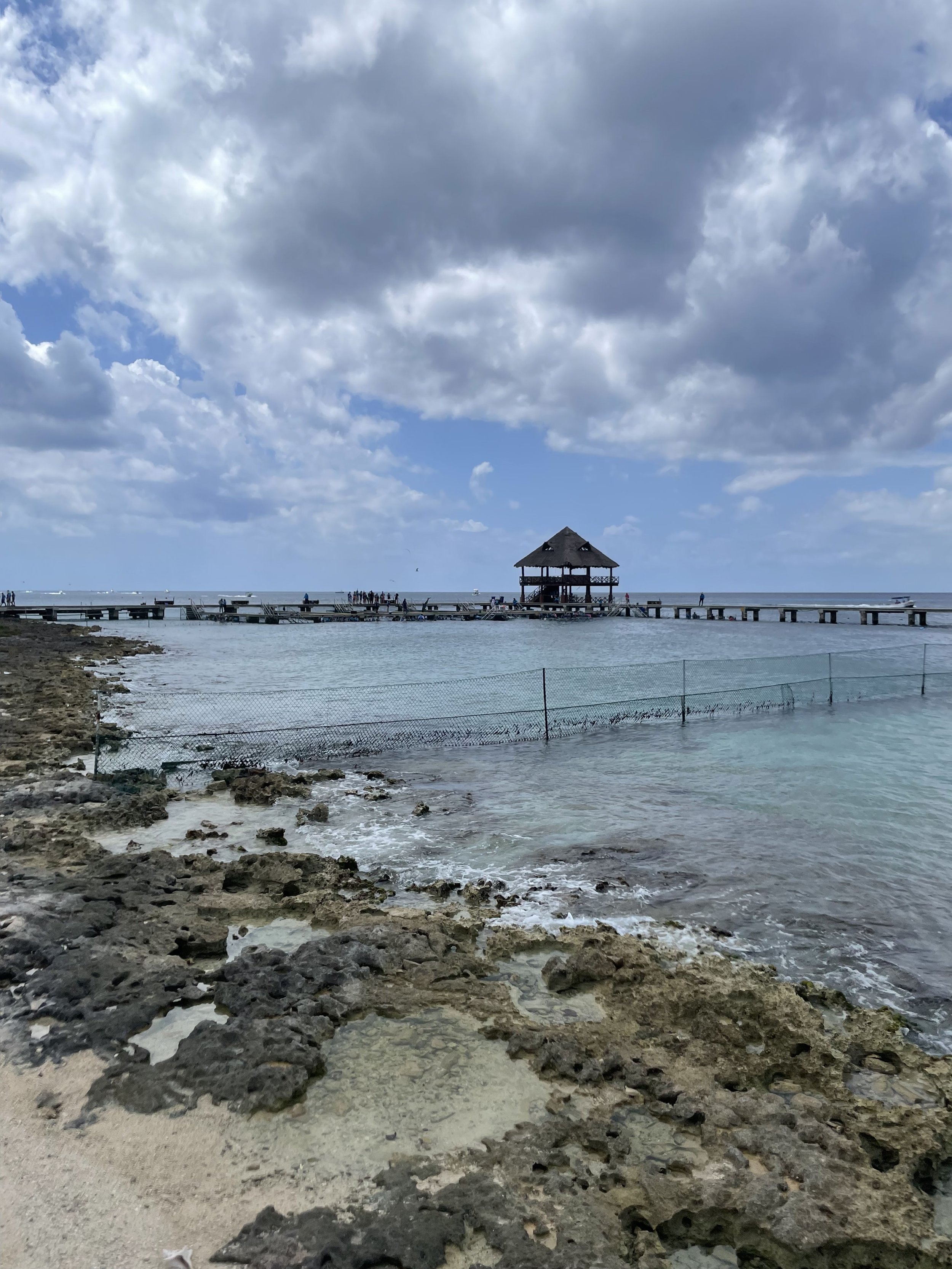 IMG_7230.jpeg