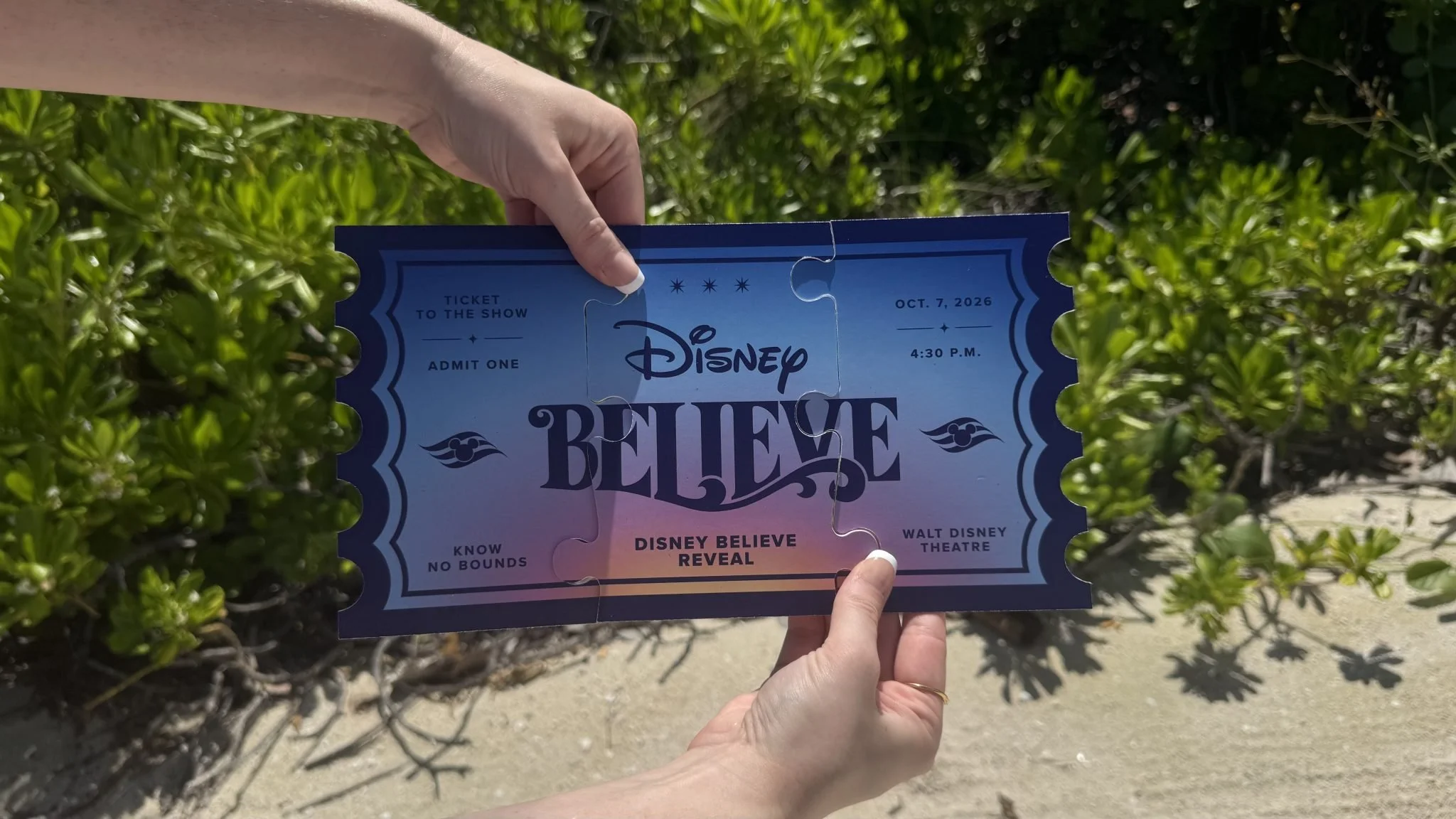 Full-Disney-Believe-reveal-ticket-2048x1152.jpeg