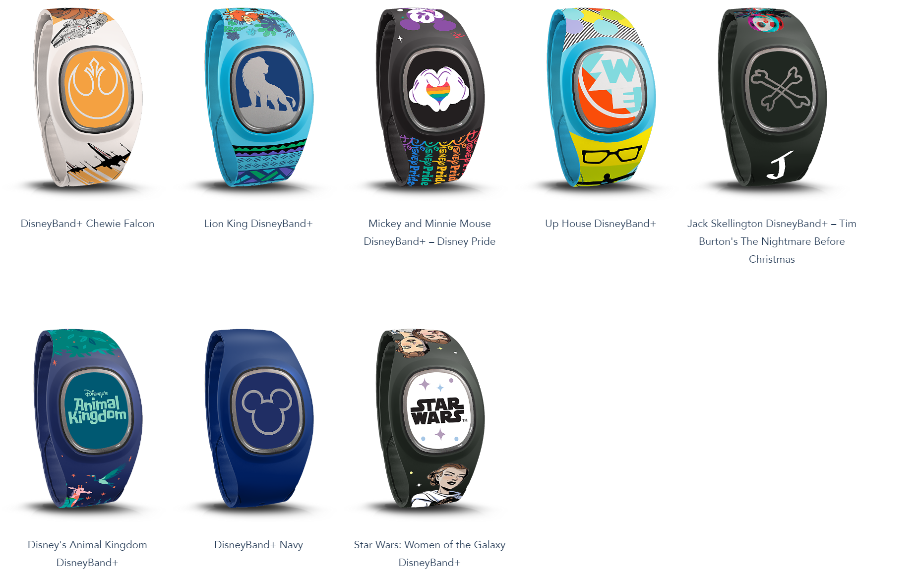 Disney Band Offerings Fall 2024.7.PNG
