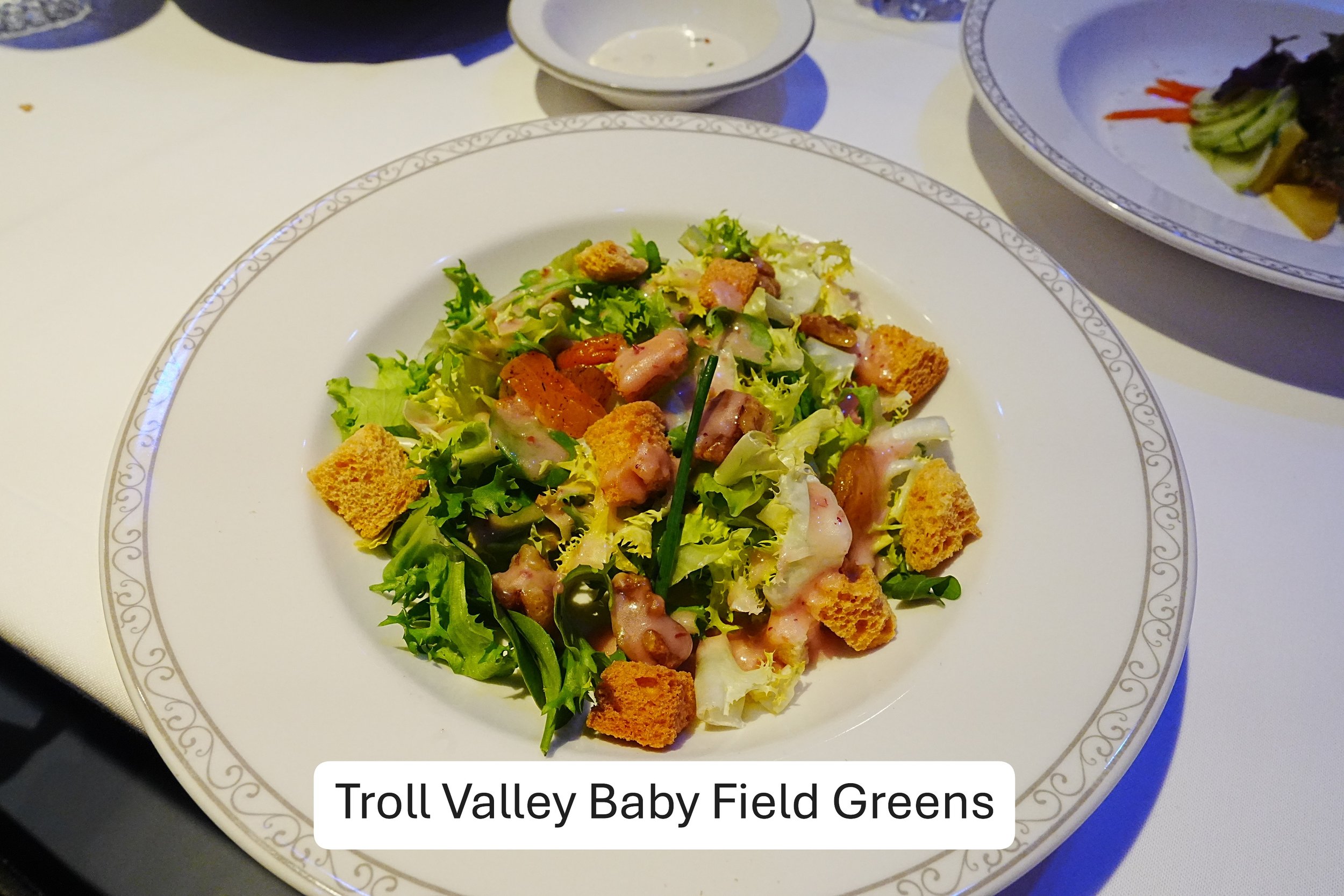 2026-02-13-Wish-Arendelle-Troll-Valley-Baby-Field-Greens-1.JPG