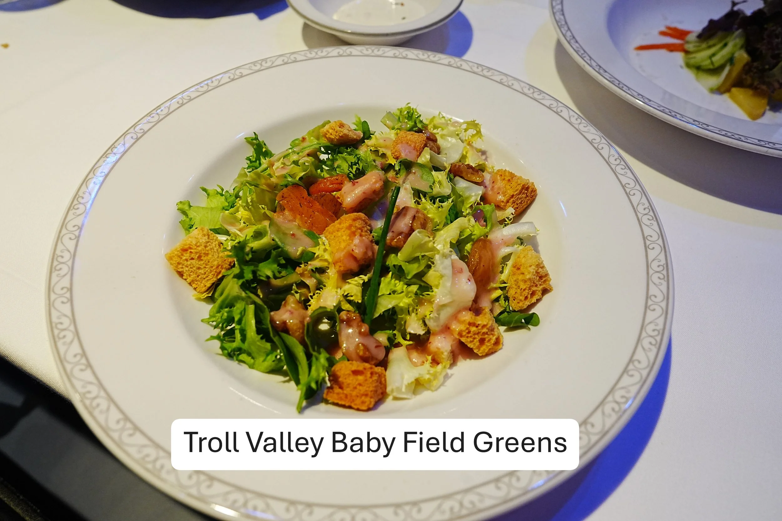 2026-02-13-Wish-Arendelle-Troll-Valley-Baby-Field-Greens.JPG