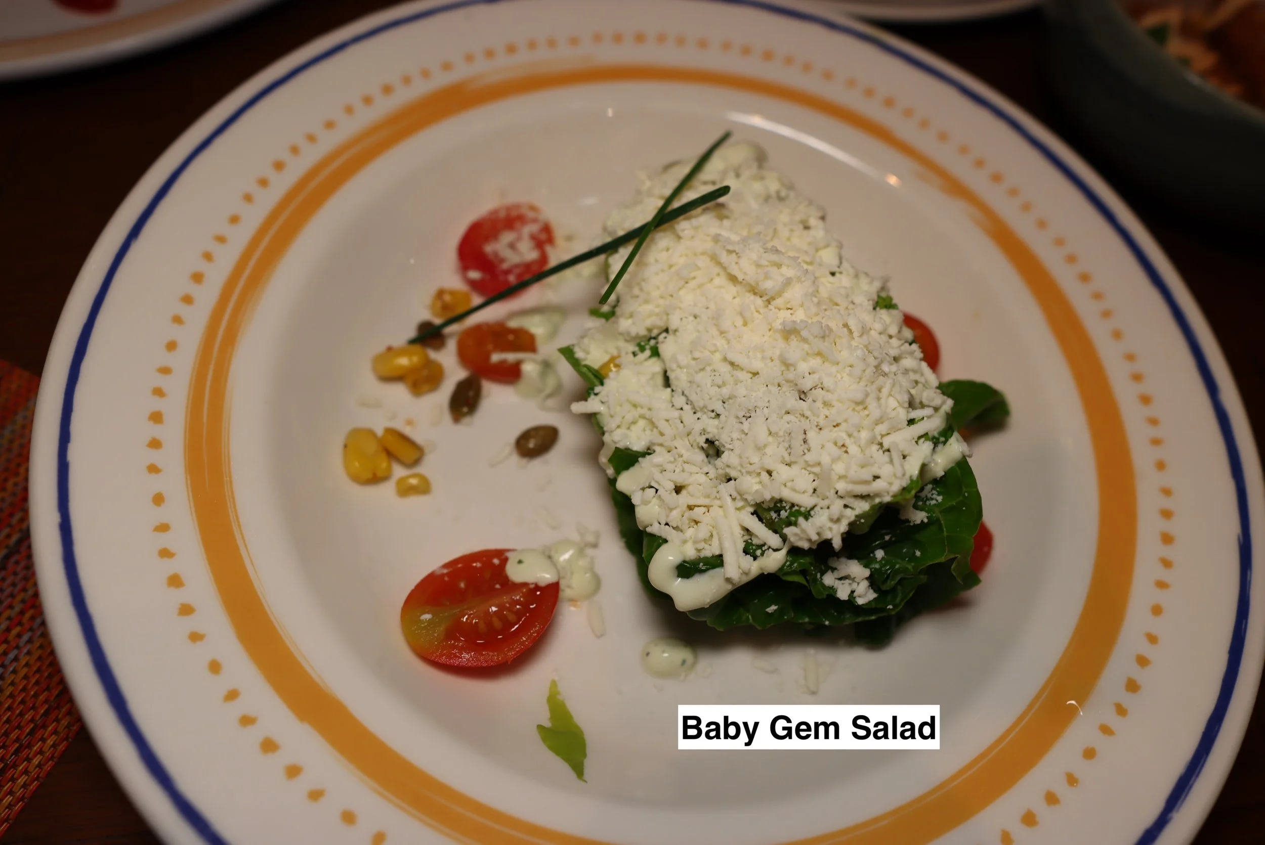 2025-03-08-Treasure-PDC-Baby-Gem-Salad.JPG