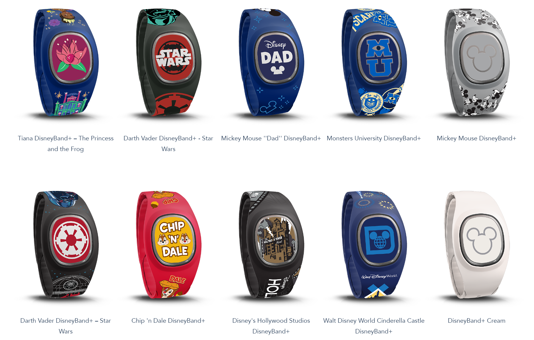 Disney Band Offerings Fall 2024.4.PNG