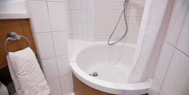 Deluxe Family Oceanview Verandah Stateroom Category 4A, 4B, 4C, 4D 4 .PNG