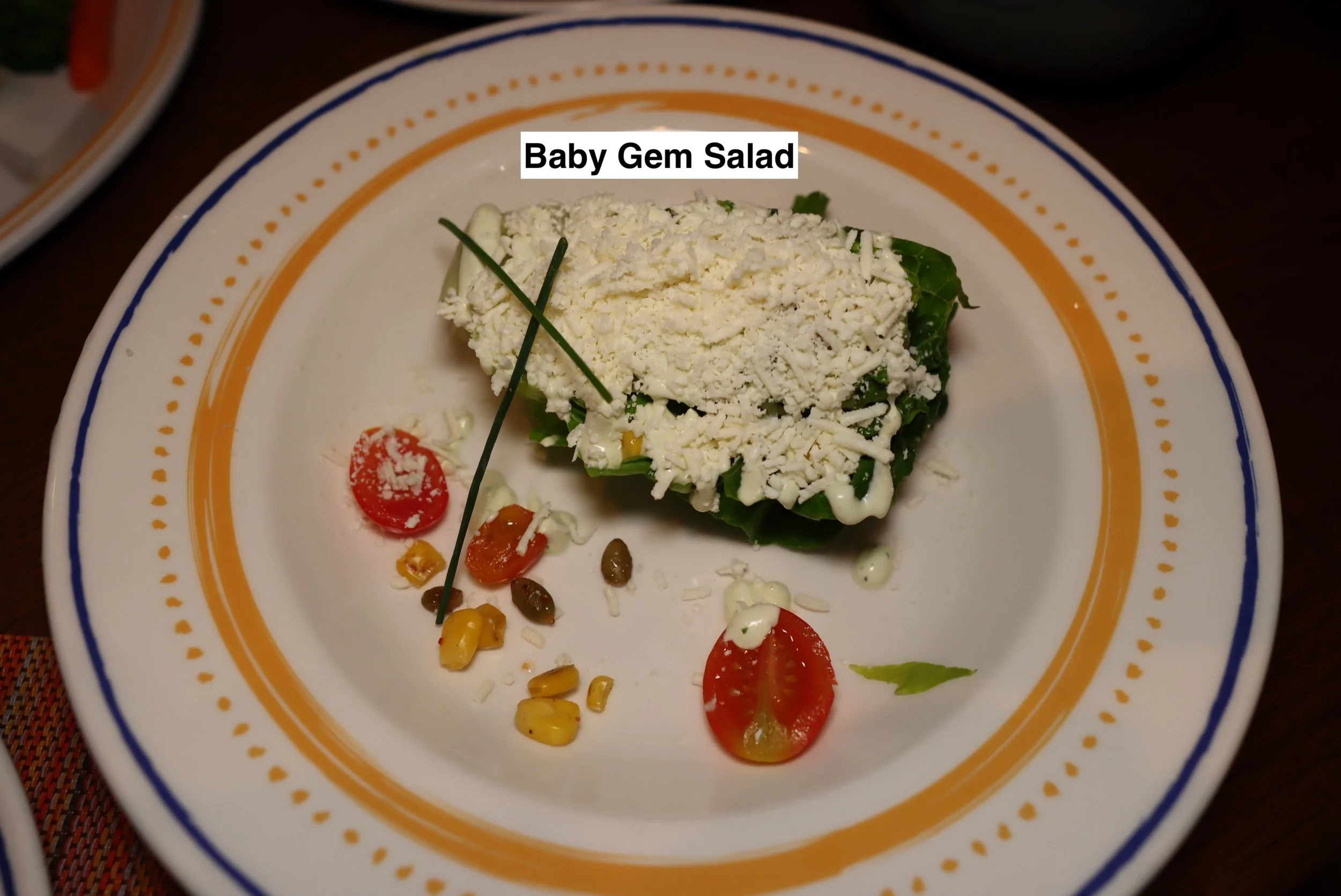 2025-03-08-Treasure-PDC-Baby-Gem-Salad-1.JPG