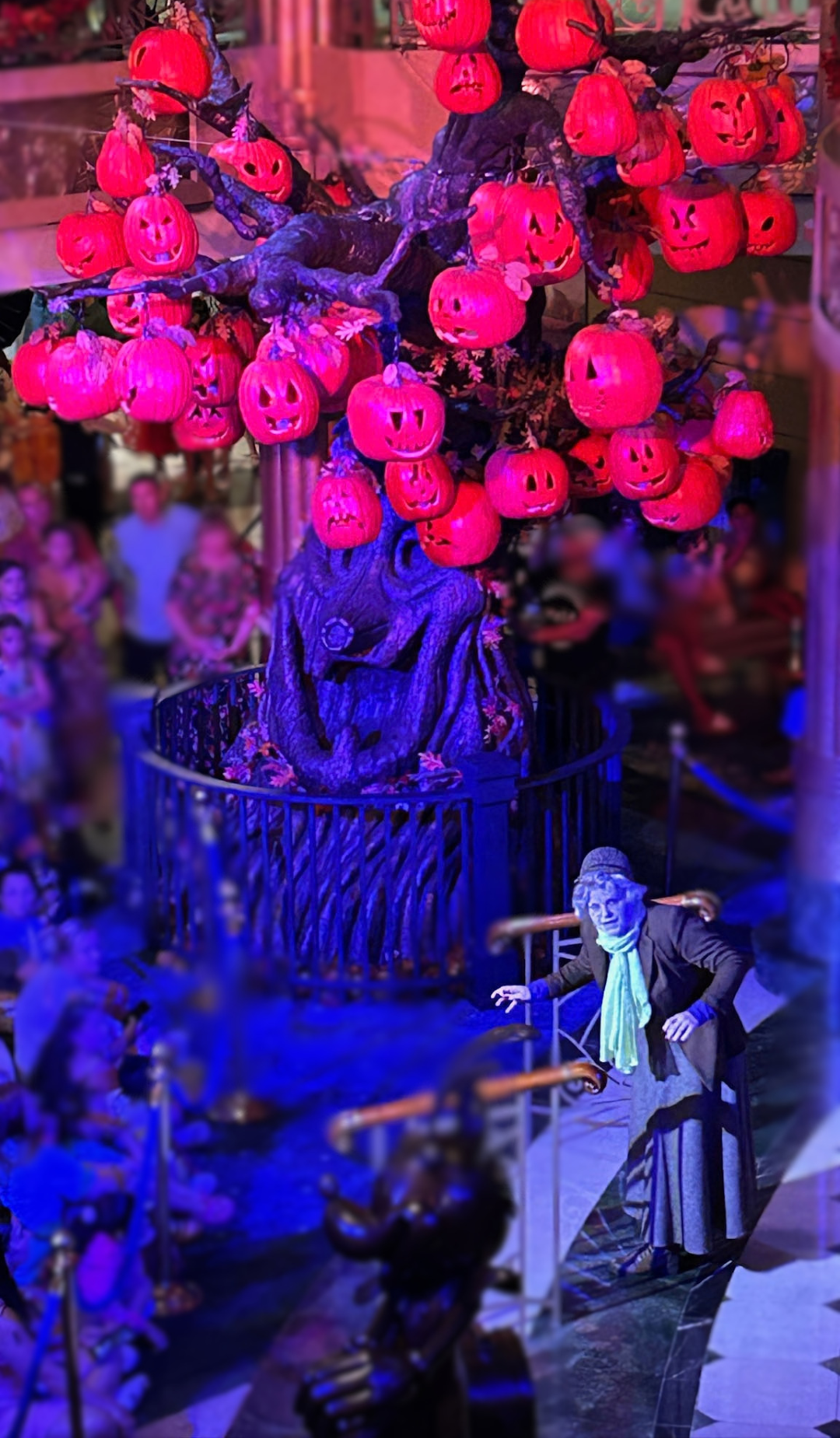 During-Show-Copy.png