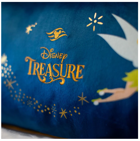 Disney Treasure Pillow and Blanket 4.PNG