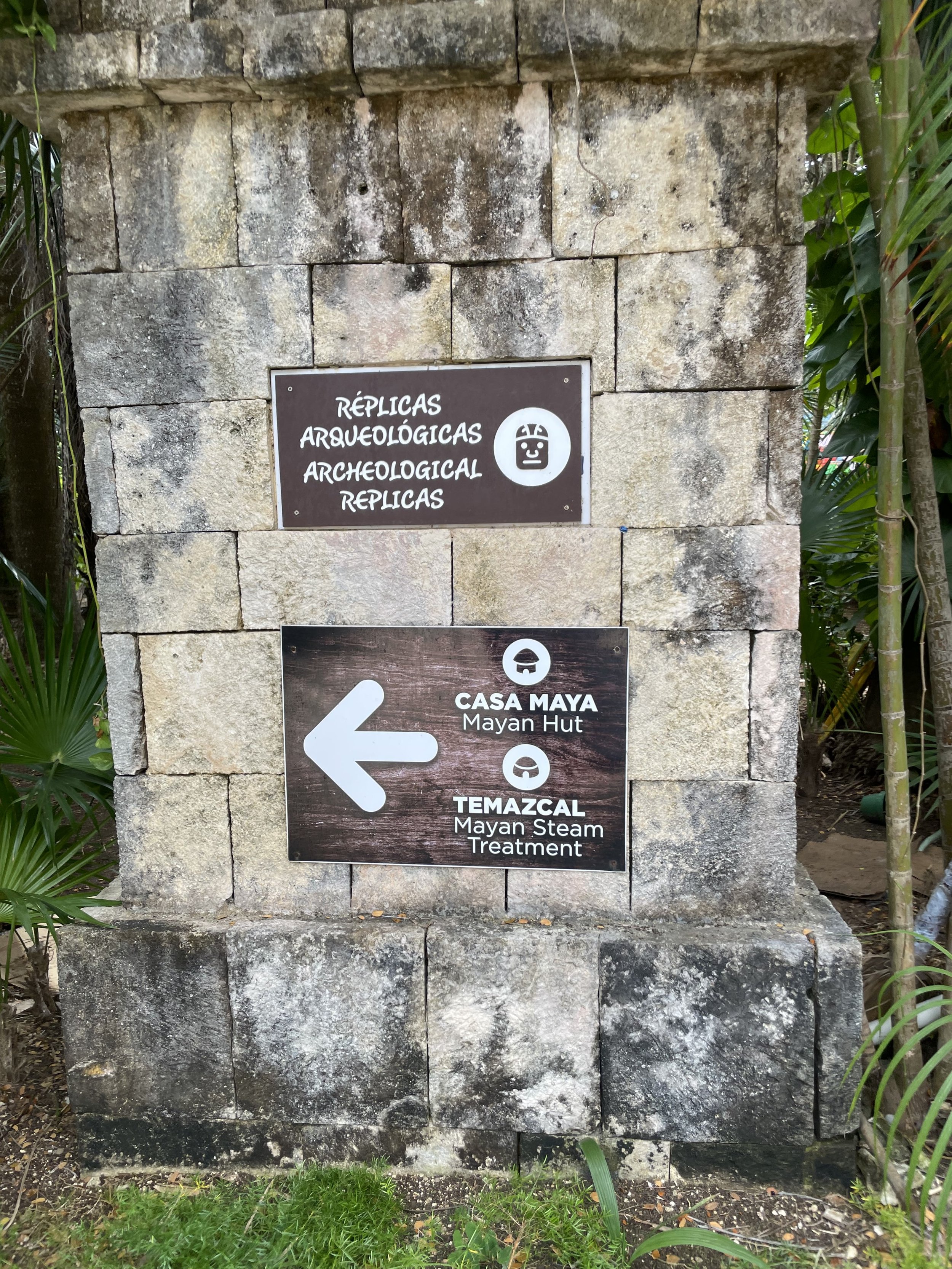 IMG_7209.jpeg