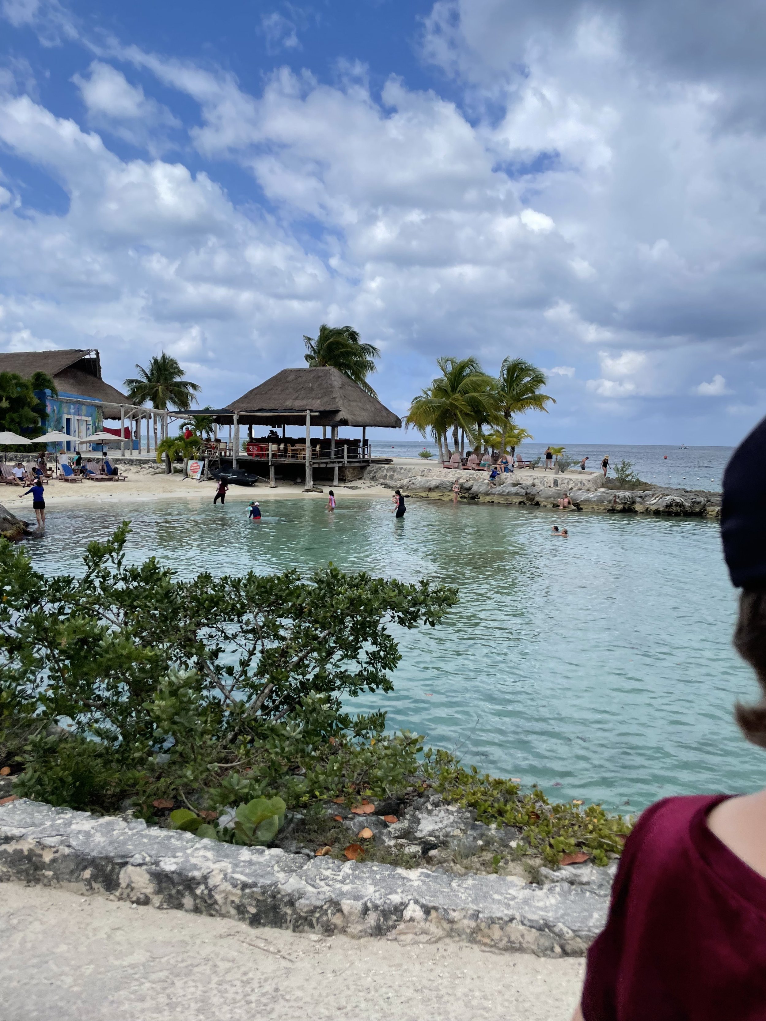 IMG_7212.jpeg