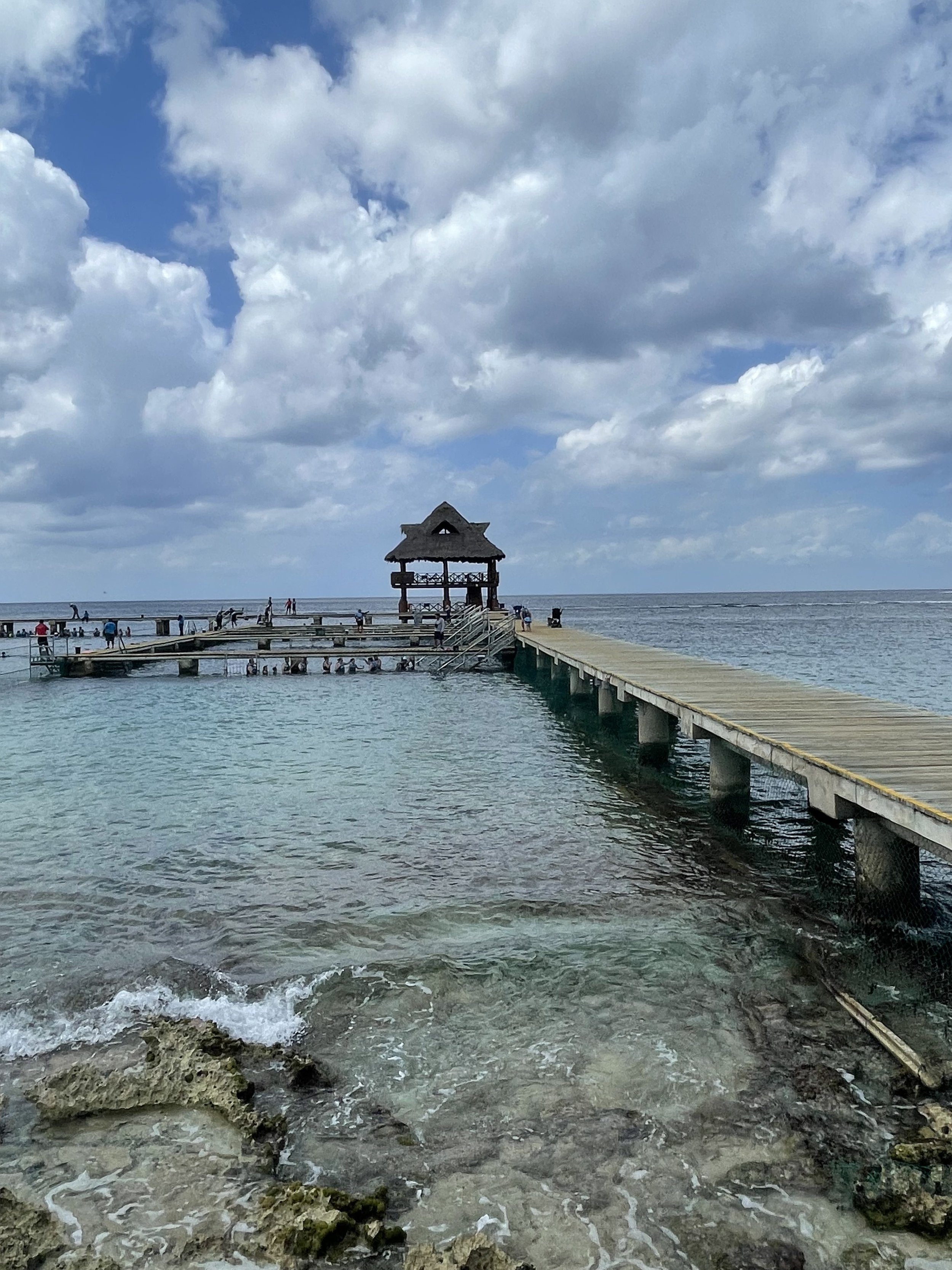 IMG_7226.jpeg