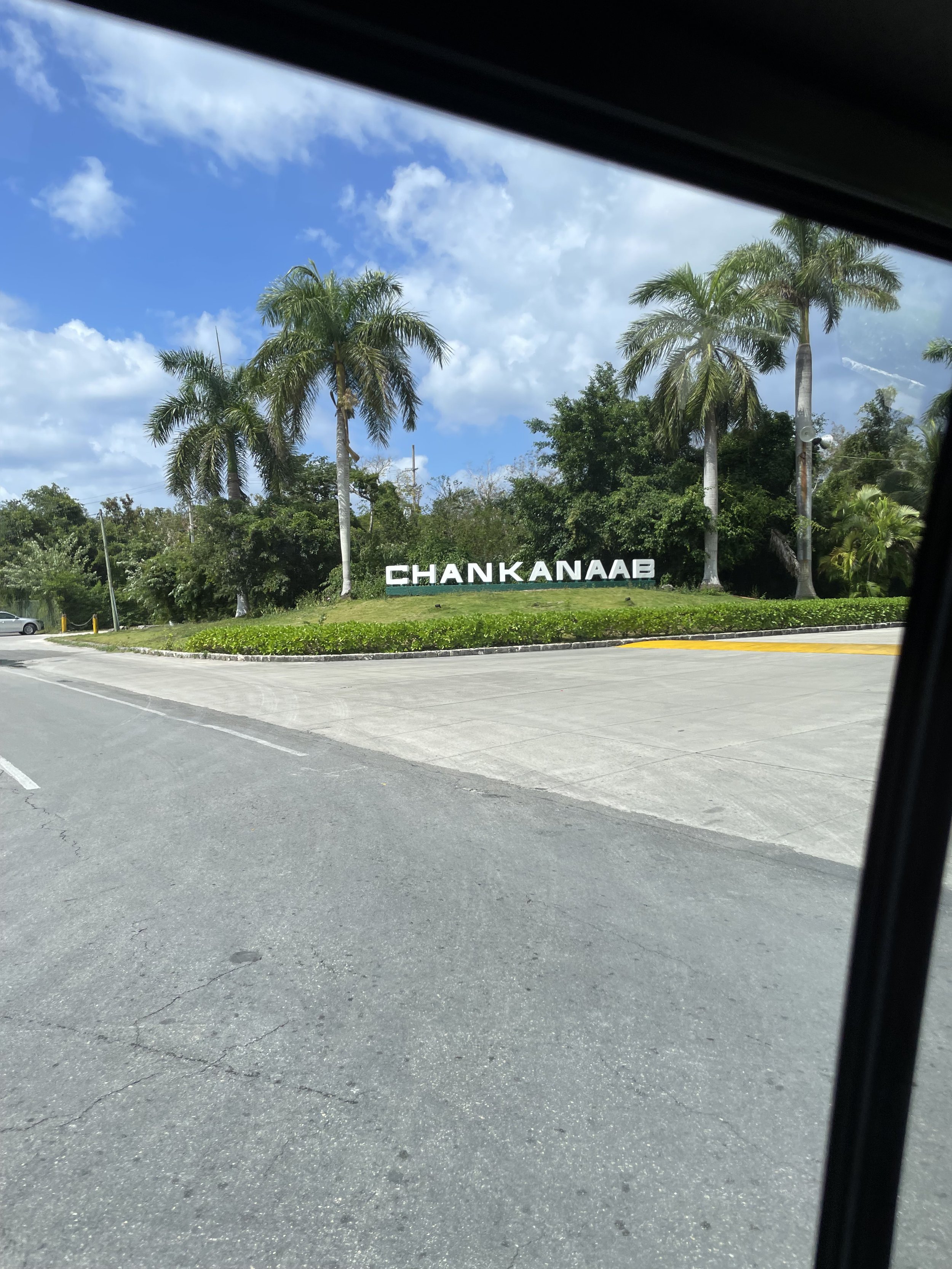IMG_7195.jpeg